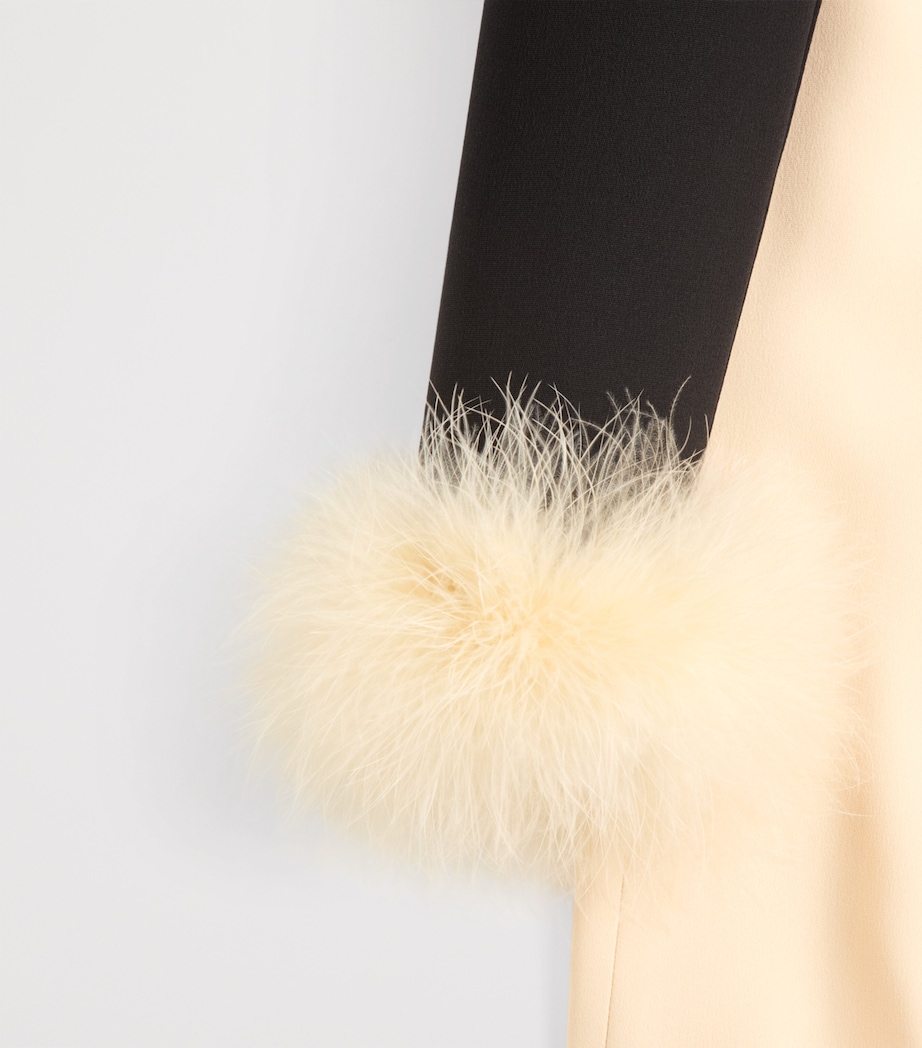 Silk Feather-Trim Gown TB1 Image 7