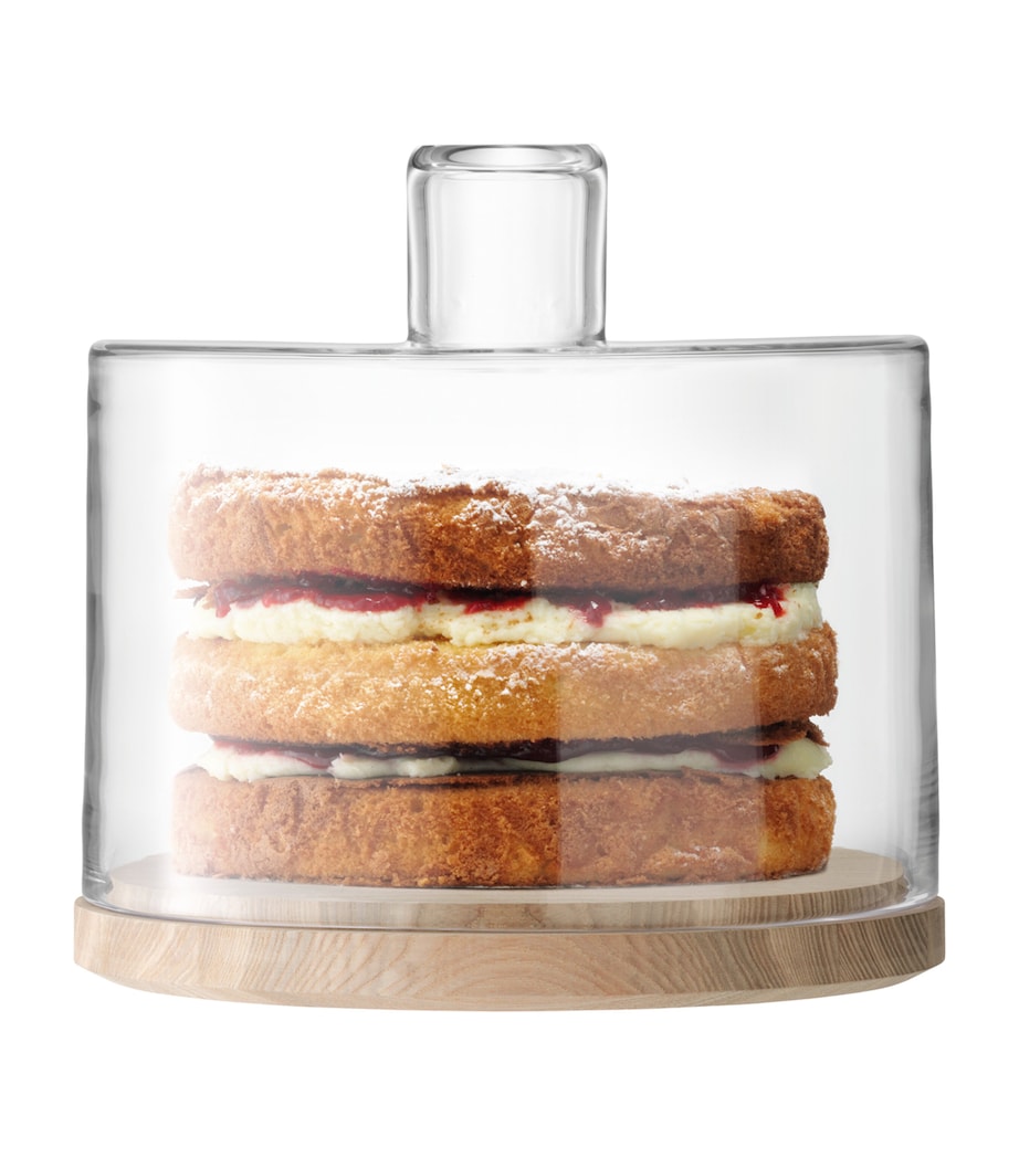 Lotta Cake Dome with Base CLEAR Image 2
