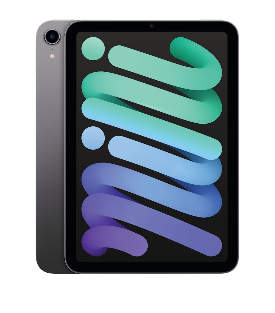 iPad Mini 8.3" Wi-Fi 256GB - Space Grey SPACE GREY Image 1