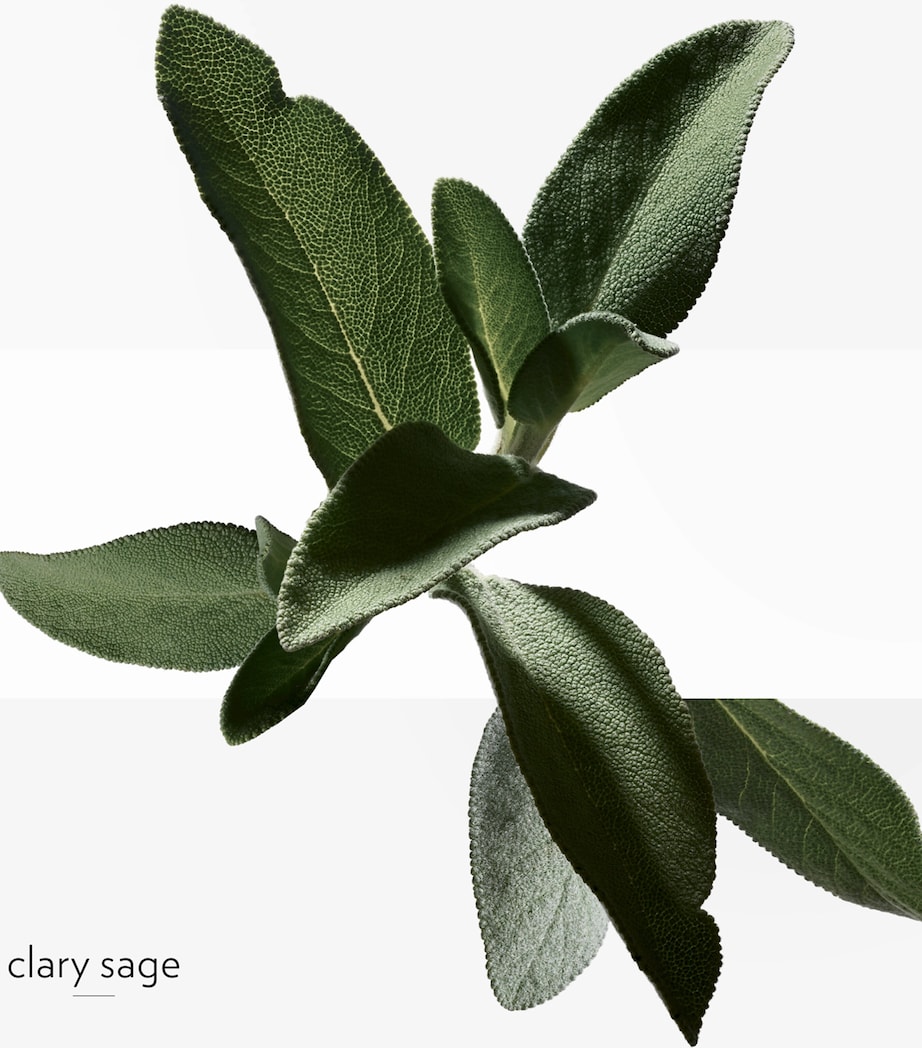 H24 Eau de Toilette (50ml) NO COLOUR Image 5