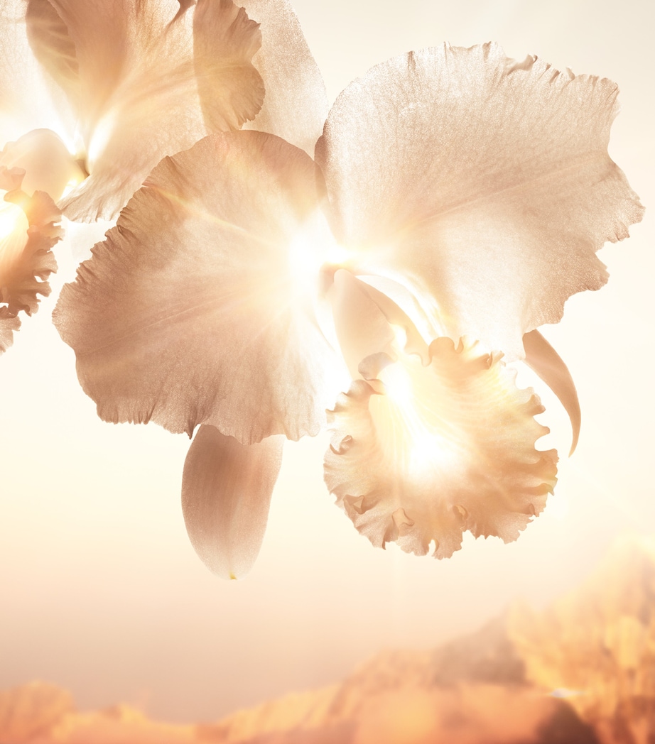 Orchidée Impériale Gold Nobile The Eye Concentrate Treatment (15ml) NO COLOUR Image 6