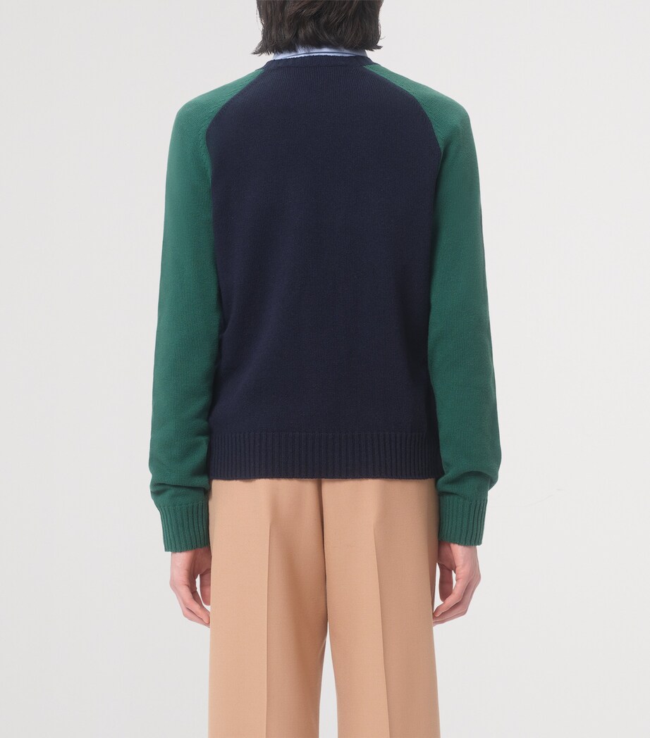 Jacquard Chez Valentino Sweater BR4 Image 6