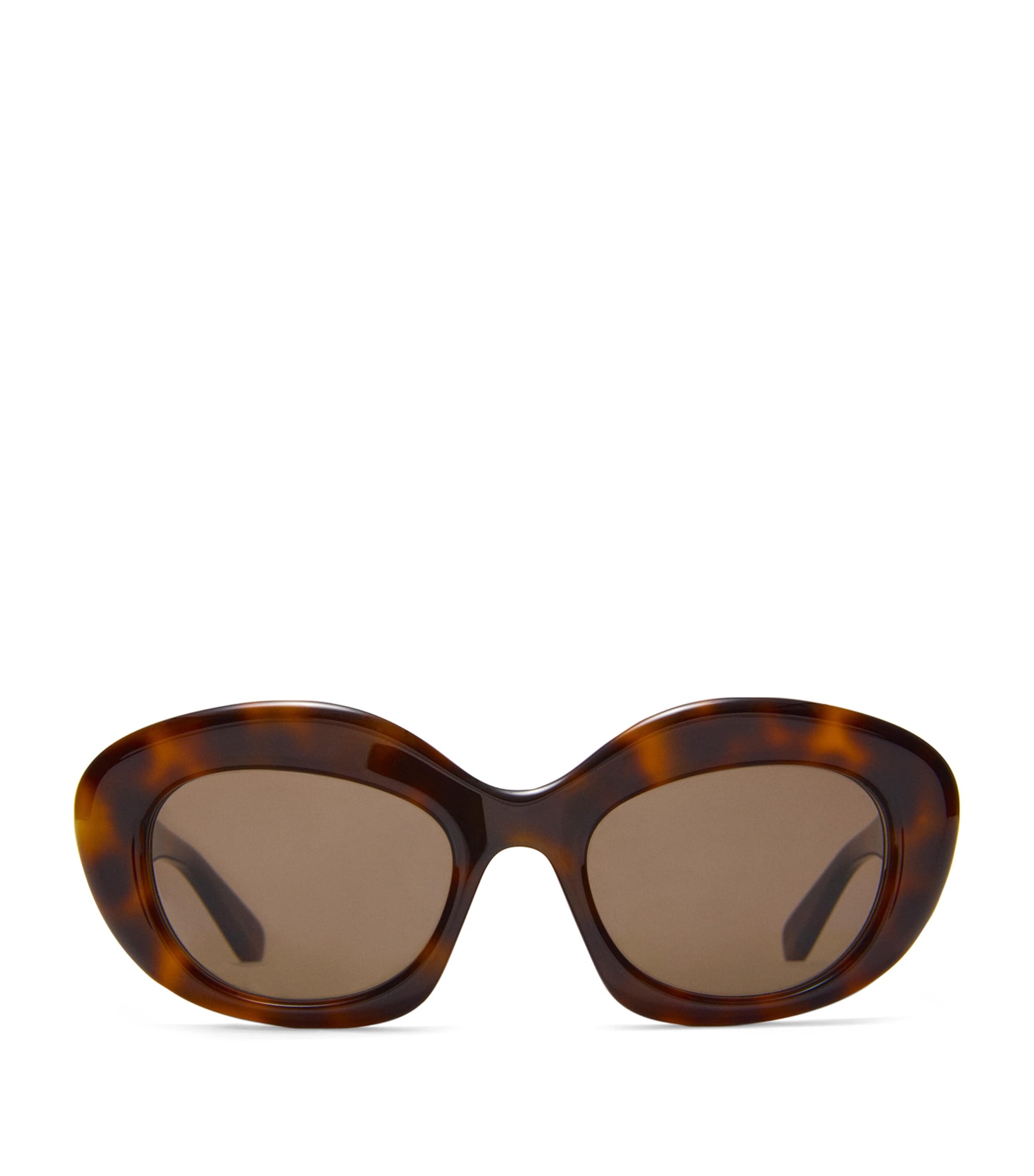 Loewe Acetate Dawn Oval Sunglasses In Brown
