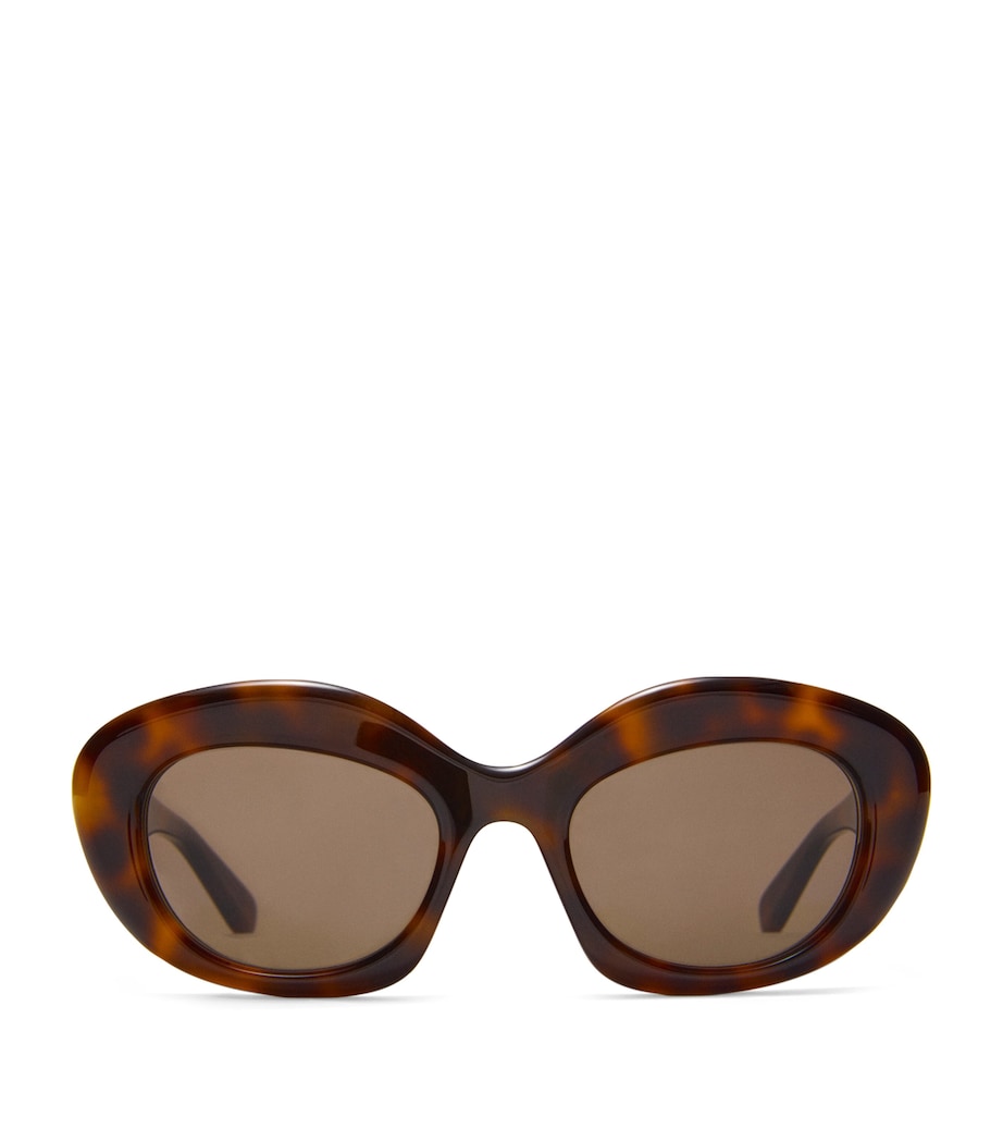 Acetate Dawn Oval Sunglasses HAVANA Image 1