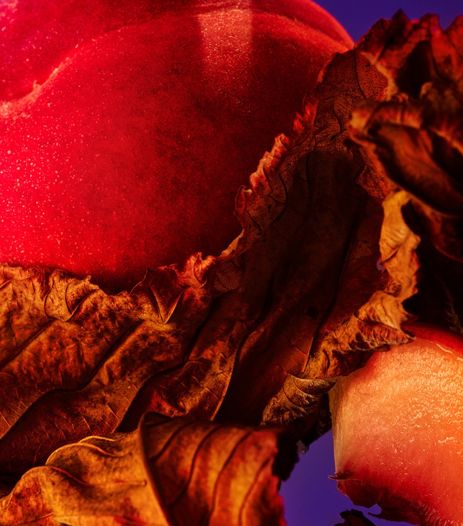 Allegra Fantasia Veneta Eau de Parfum (100ml) NO COLOUR Image 2