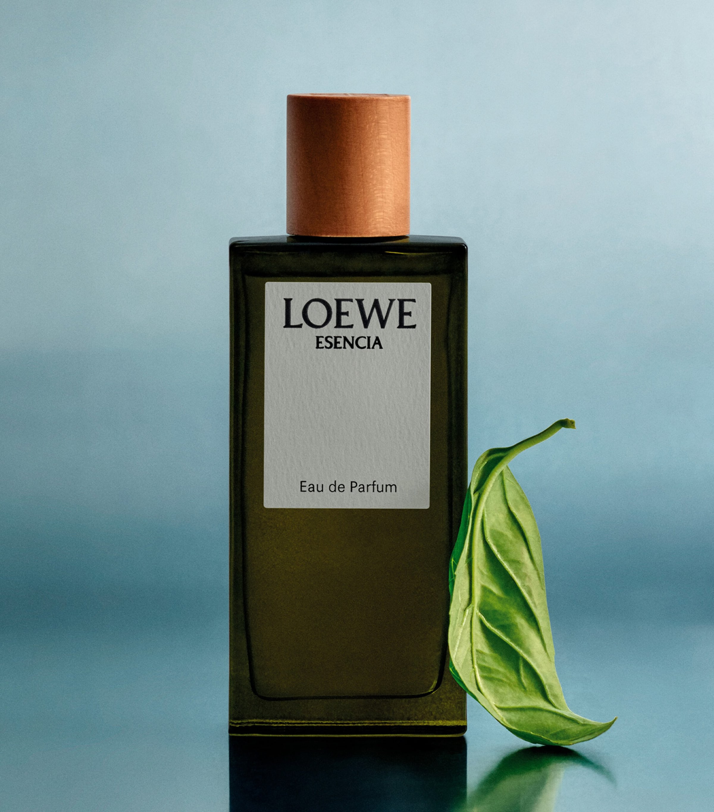 【正規品】LOEWE ESENCIA Eau de Parfum 50Ml LOEWE Esencia Eau de Parfum 50ml Colourless - LOEWE