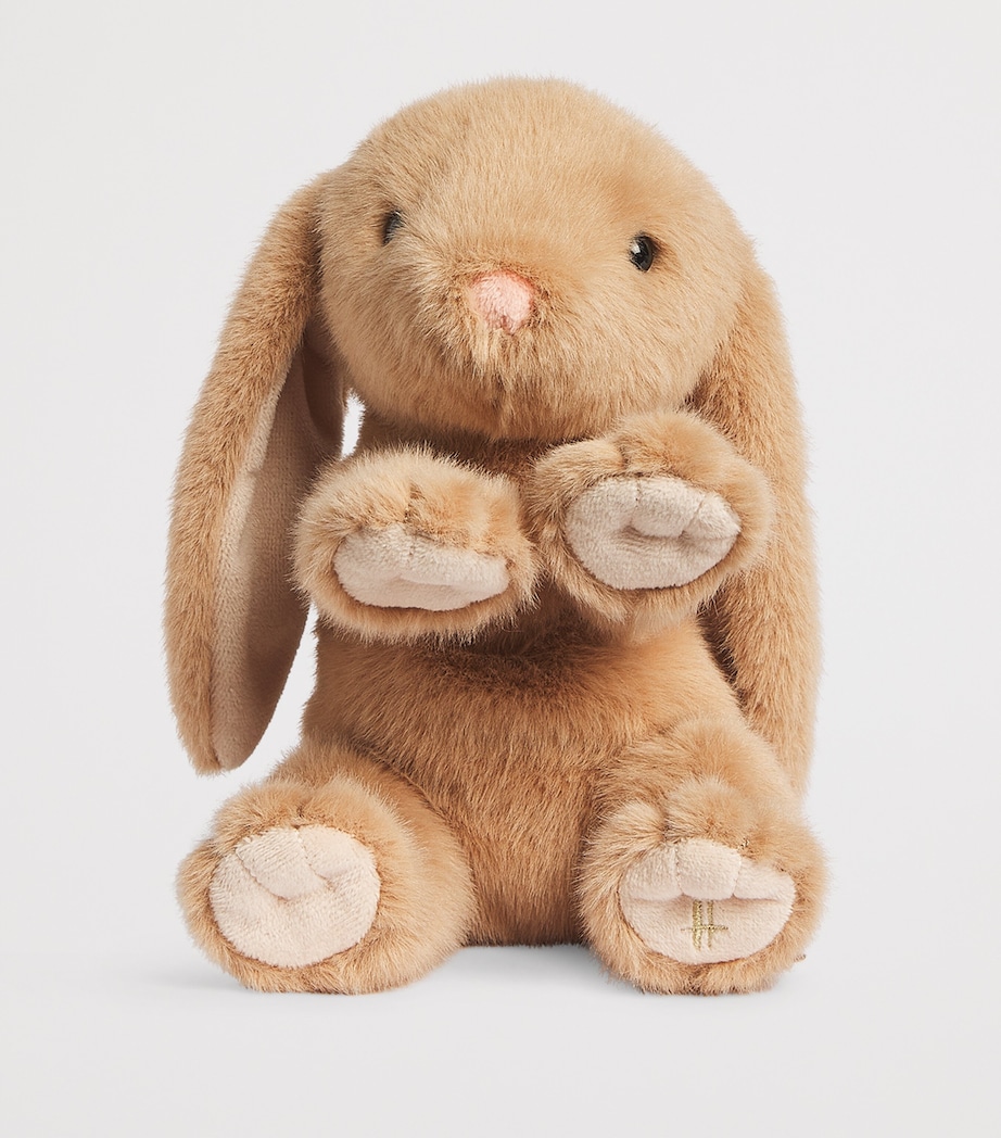 Bunny in Bag Soft Toy (26cm) MULTI Image 3