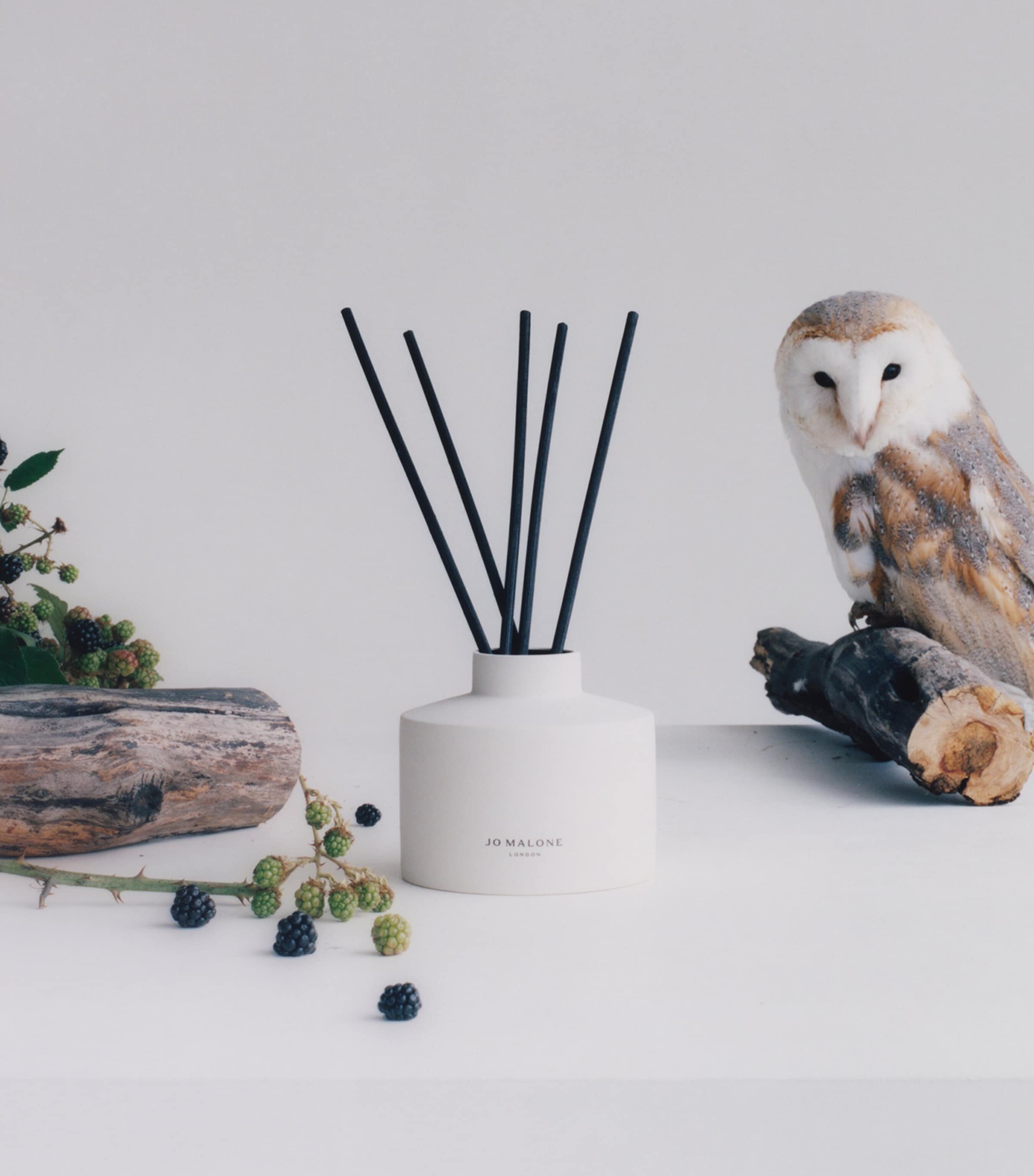 Wild Berry & Bramble Townhouse Diffuser (750ml) NO COLOUR Image 2