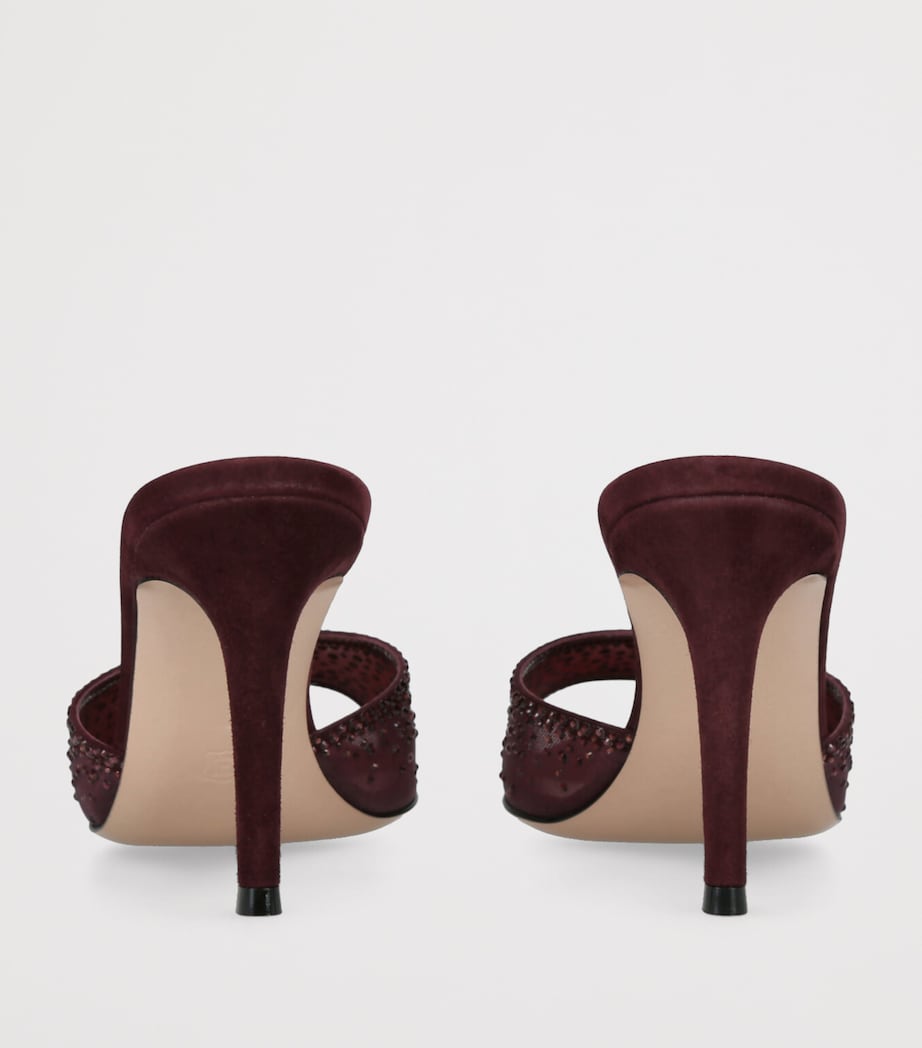 Suede Embellished Rania Mules 85 WINE Image 2