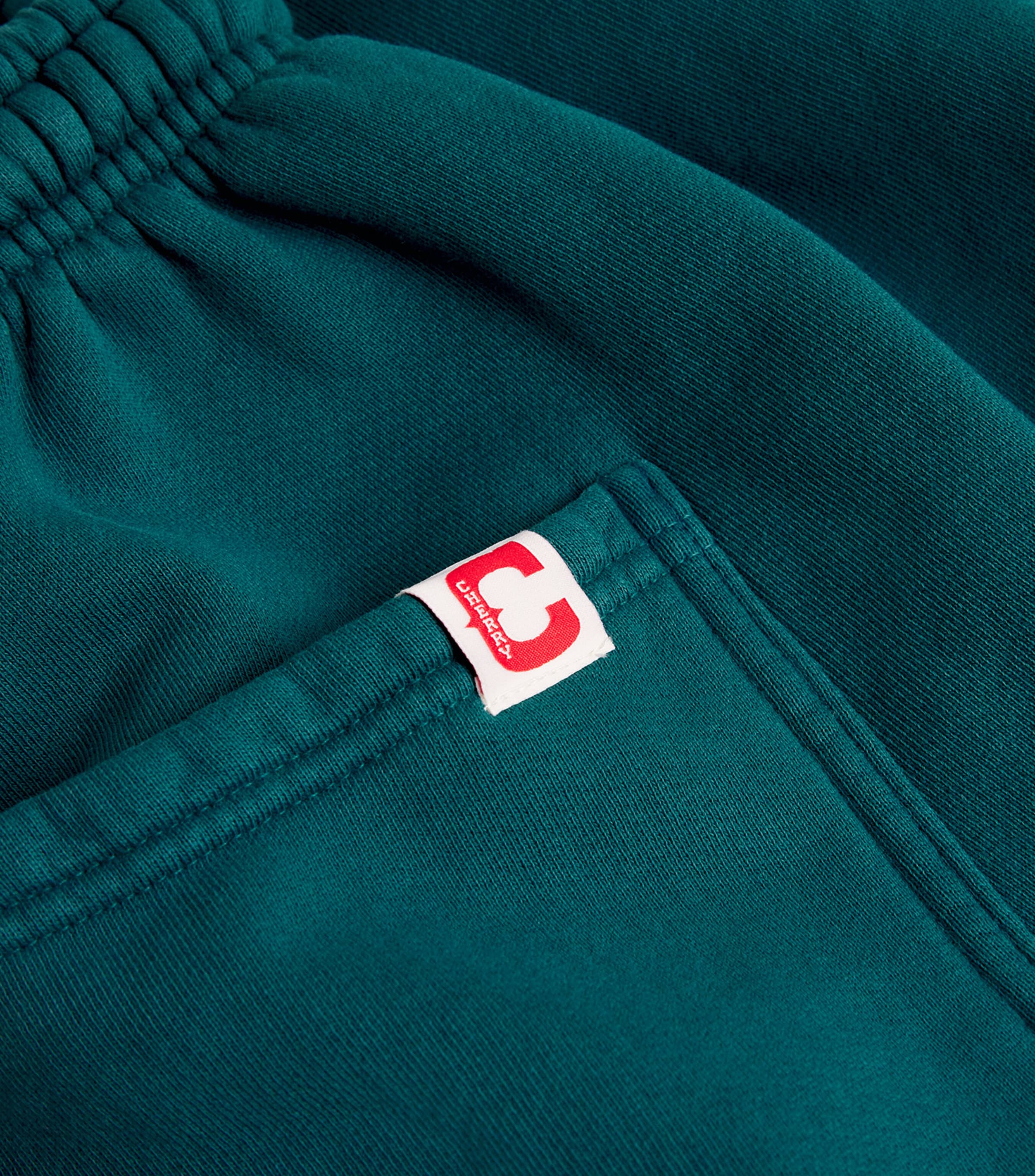 Cotton Navajo Embroidery Parachute Sweatpants TEAL Image 5