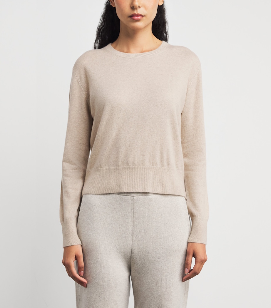 Cashmere Crew-Neck Hebe Sweater FEATHER Image 3