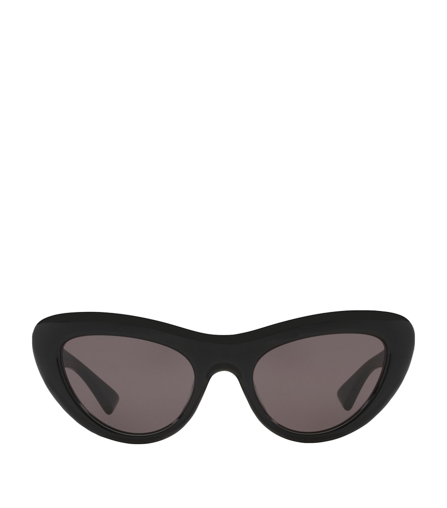 Cat Eye Sunglasses 1100L1 Image 1