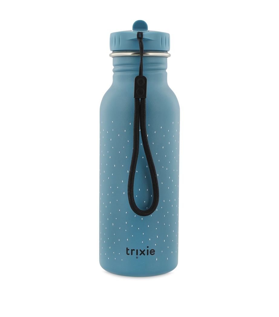 Mr Triceratops Water Bottle (500ml) MULTI Image 2