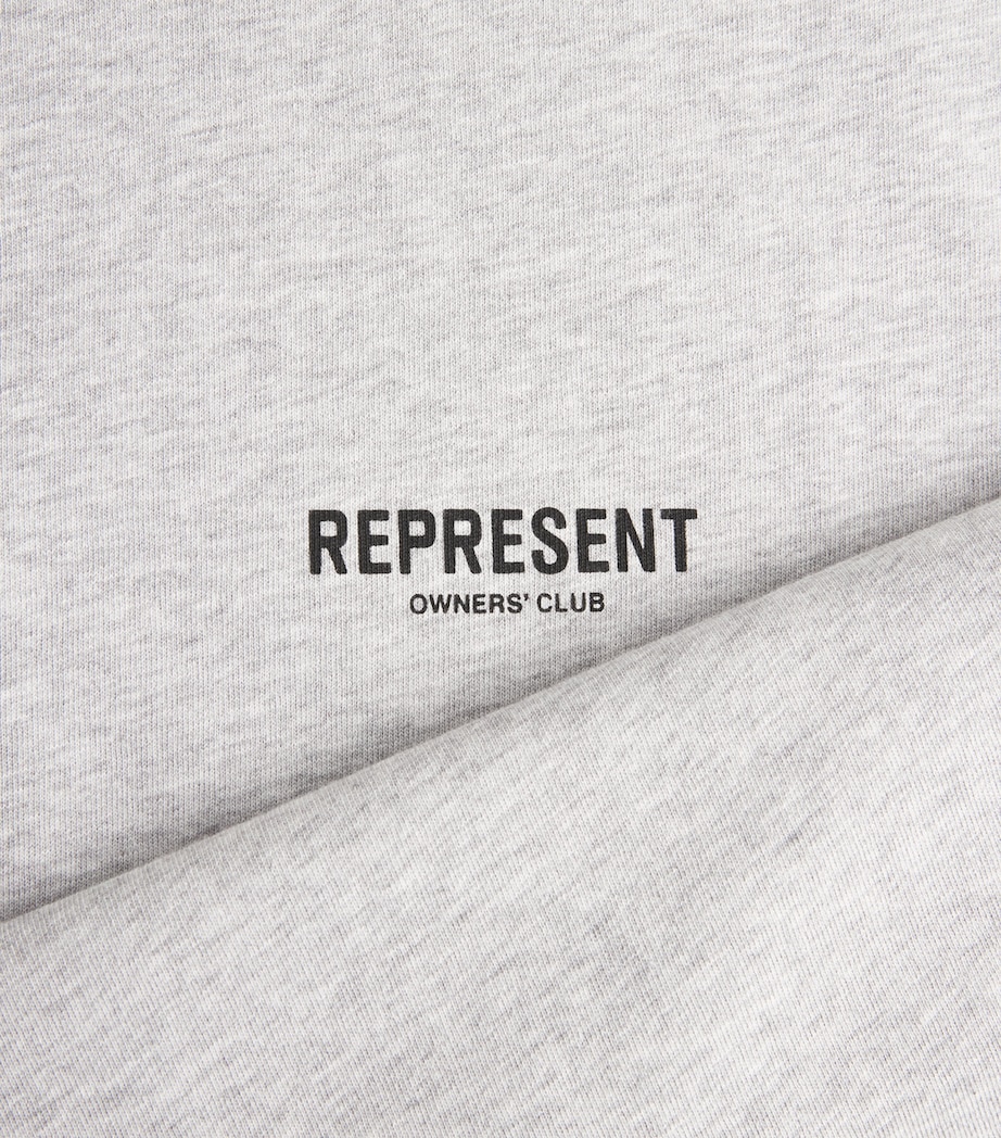 Represent Mens Owners Club T-Shirt Ash Grey/balck Image 7