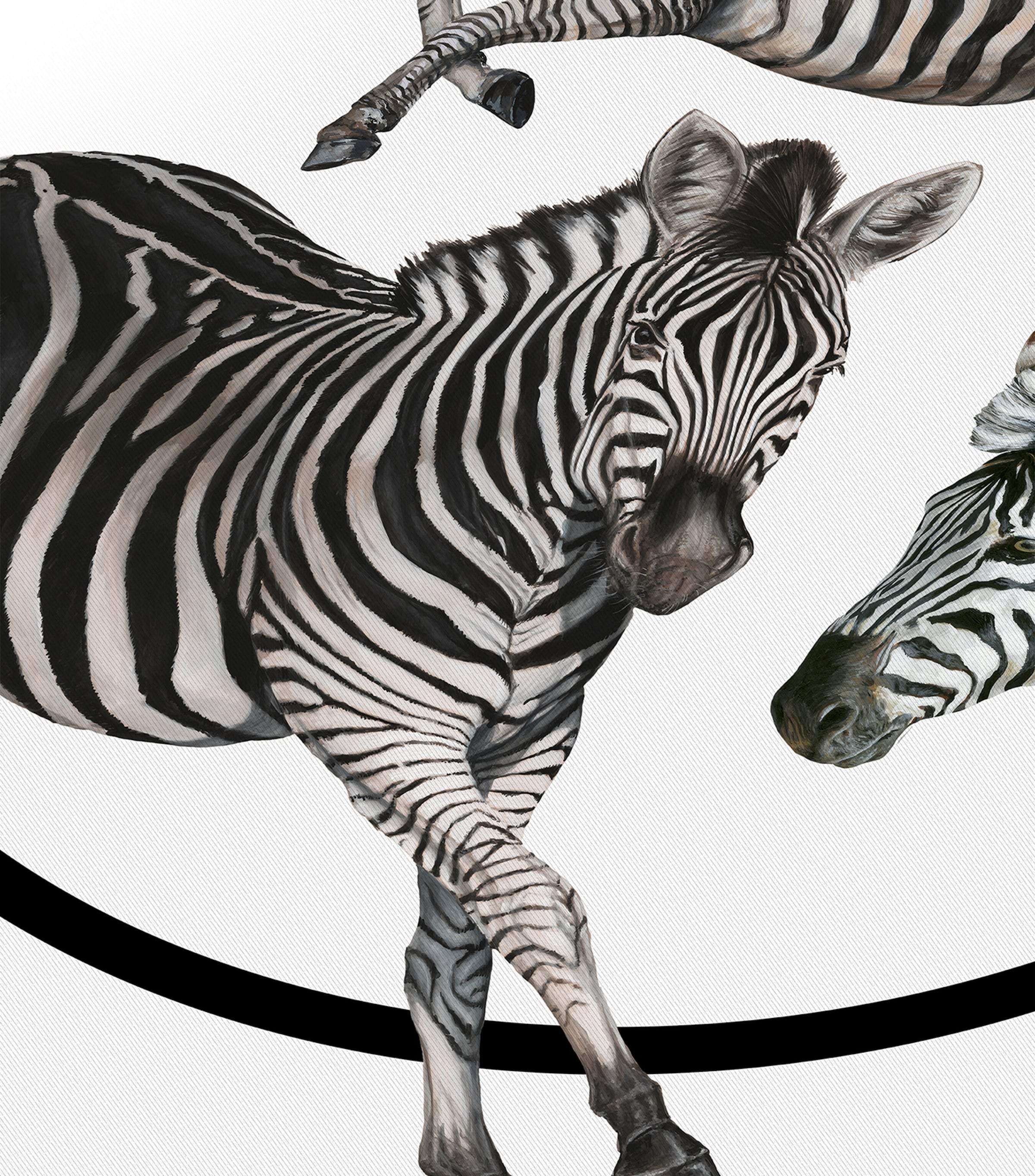 Dolce&Gabbana Casa Silk-Wool Zebra Throw (140cm x 180cm) Zebre F Do Bia Image 2