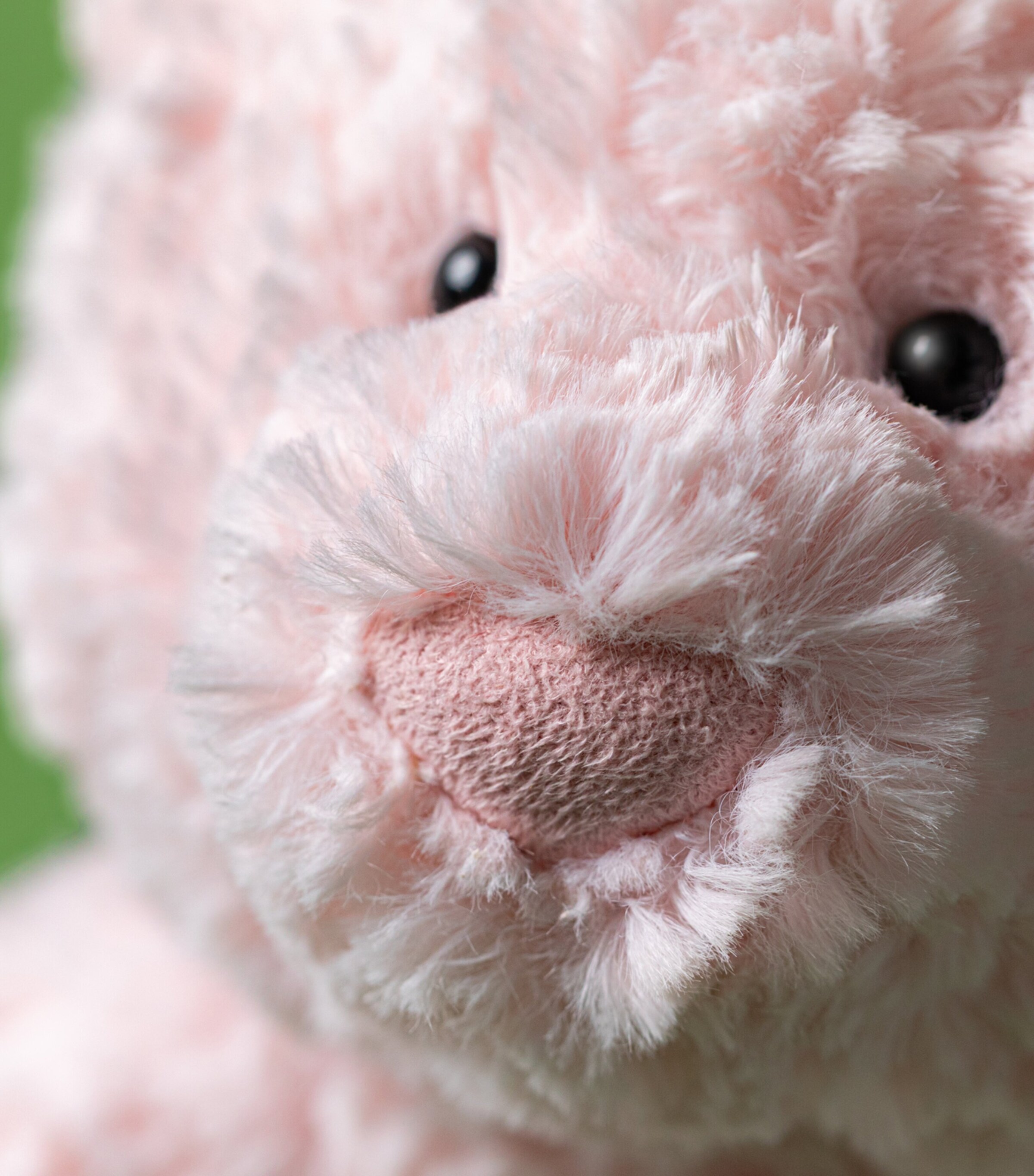 Jellycat Medium Leola Bear (26cm) Image 6
