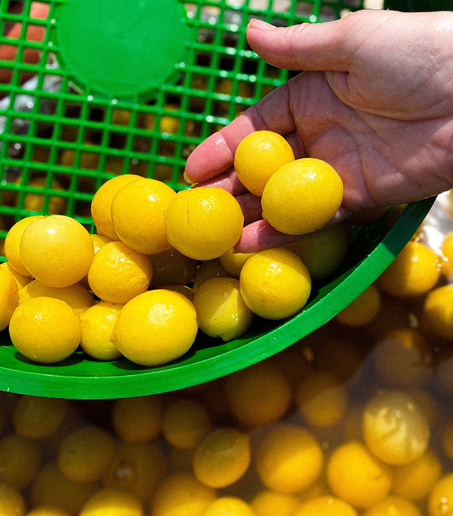 Olives Et Al Baby Preserved Beldi Lemons (500g) Image 3
