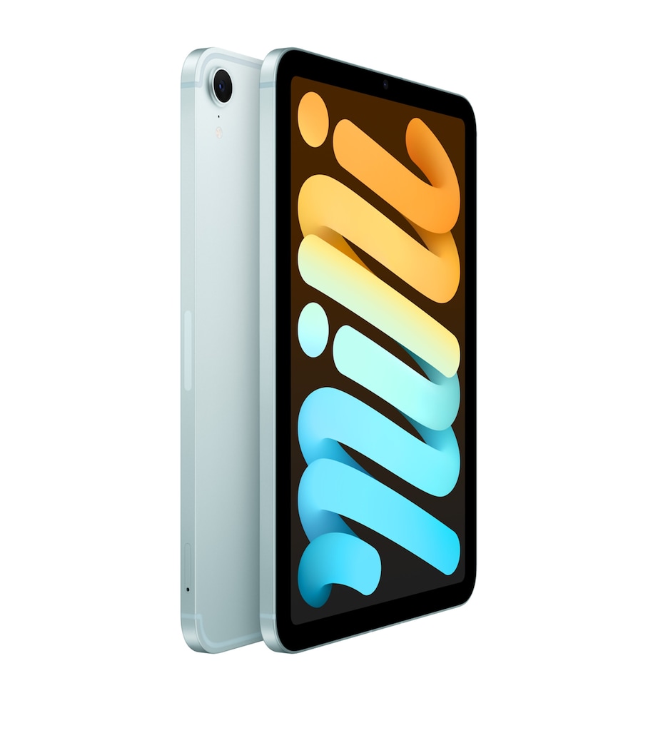 iPad Mini 8.3" Wi-Fi (2024) 256GB - Blue BLUE Image 3