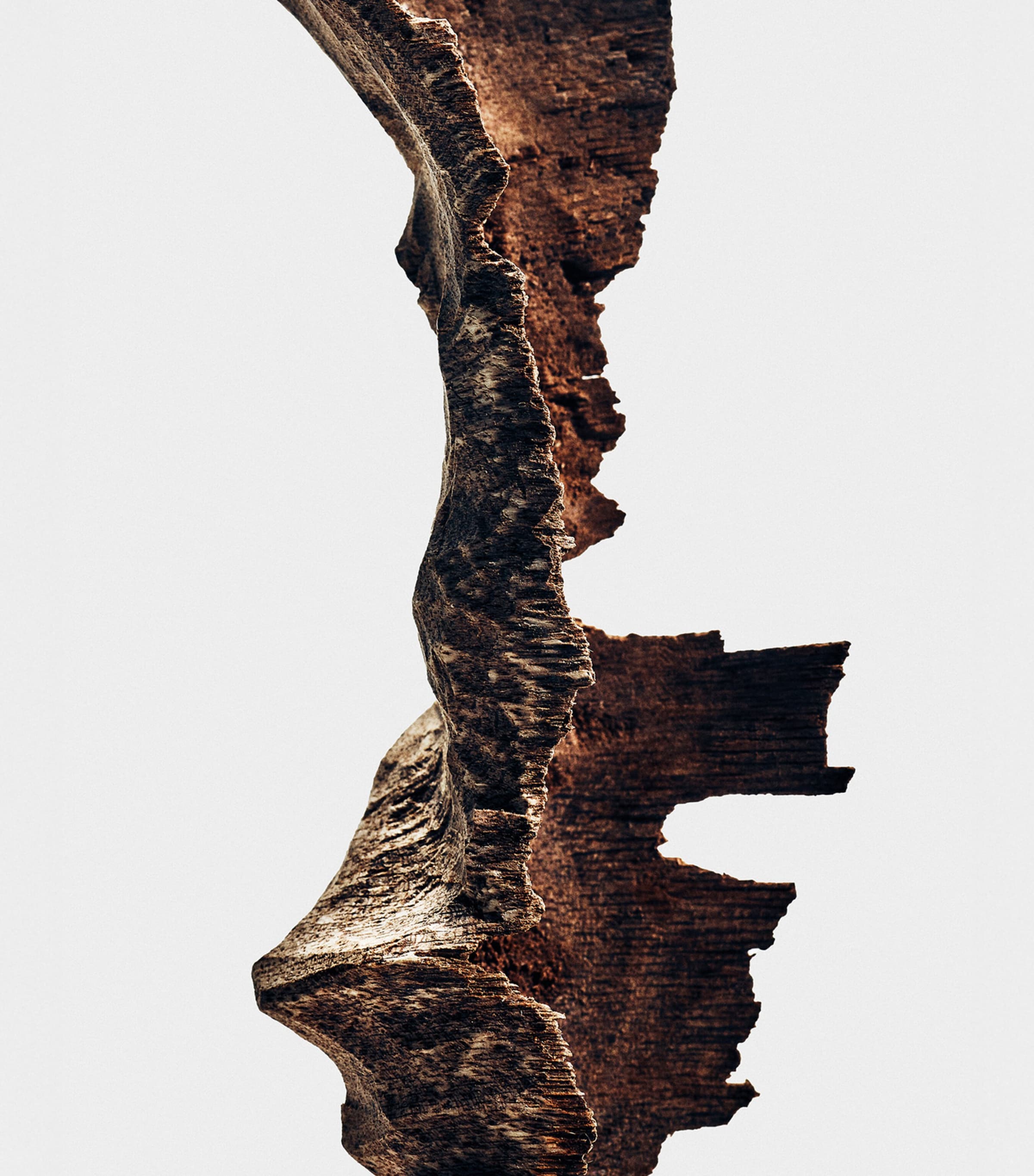 Bittersweet Oud Eau de Parfum (100ml) NO COLOUR Image 3