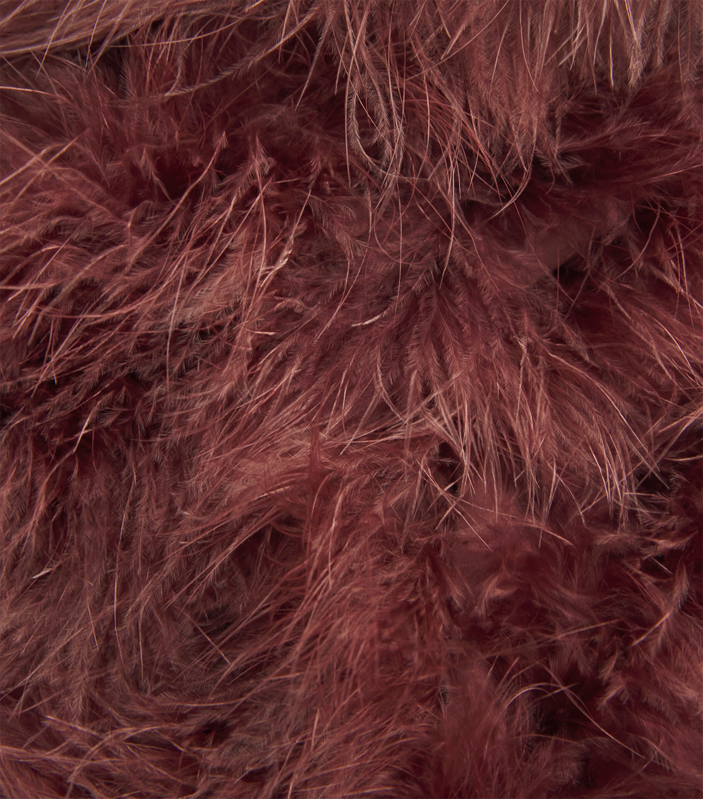 Yves Salomon Womens Feather Cropped Jacket Image 6