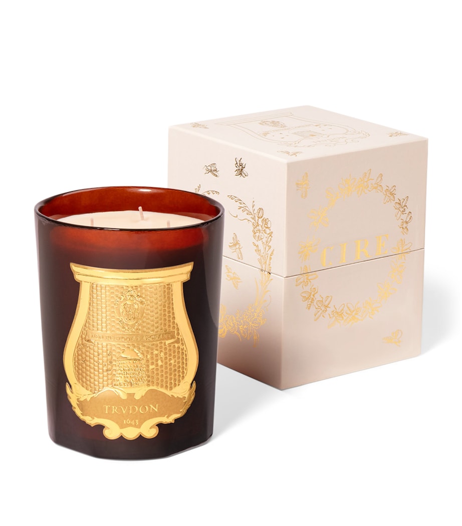 Trudon Cire Candle (800g) Amber Image 2