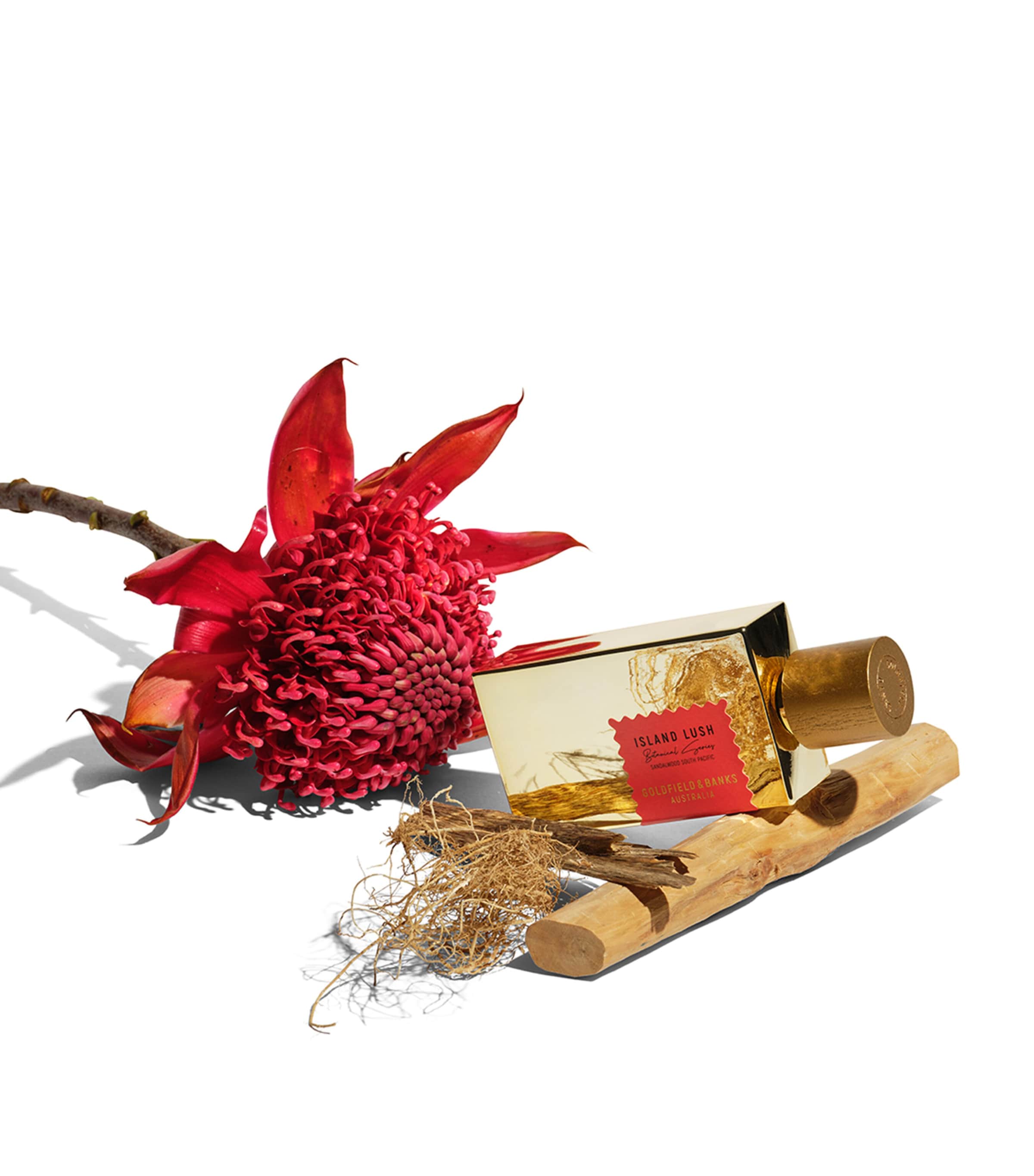 Island Lush Pure Perfume (100ml) NO COLOUR Image 4