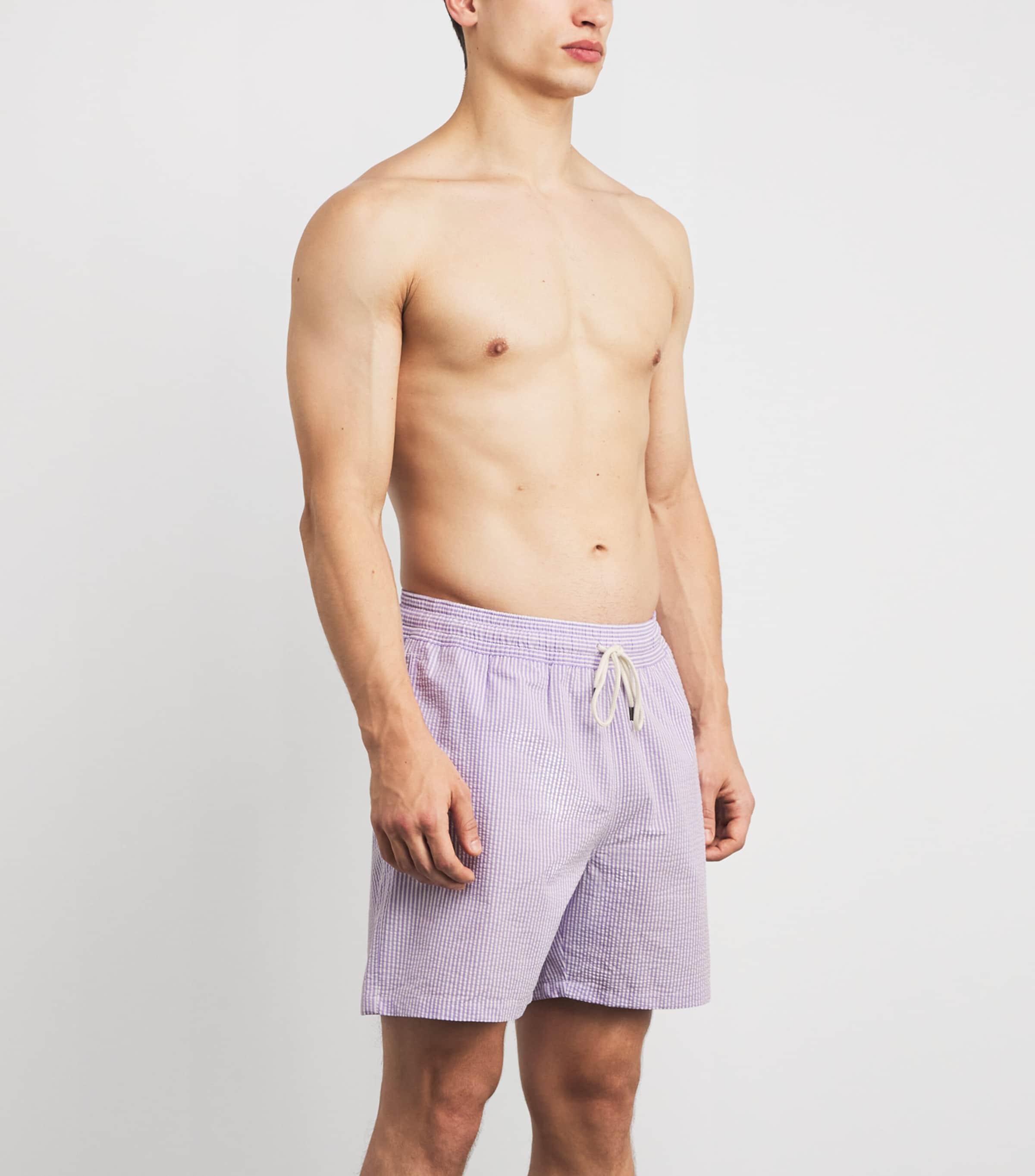 Seersucker Traveller Swim Shorts PURPLE SEERSUCKER Image 3