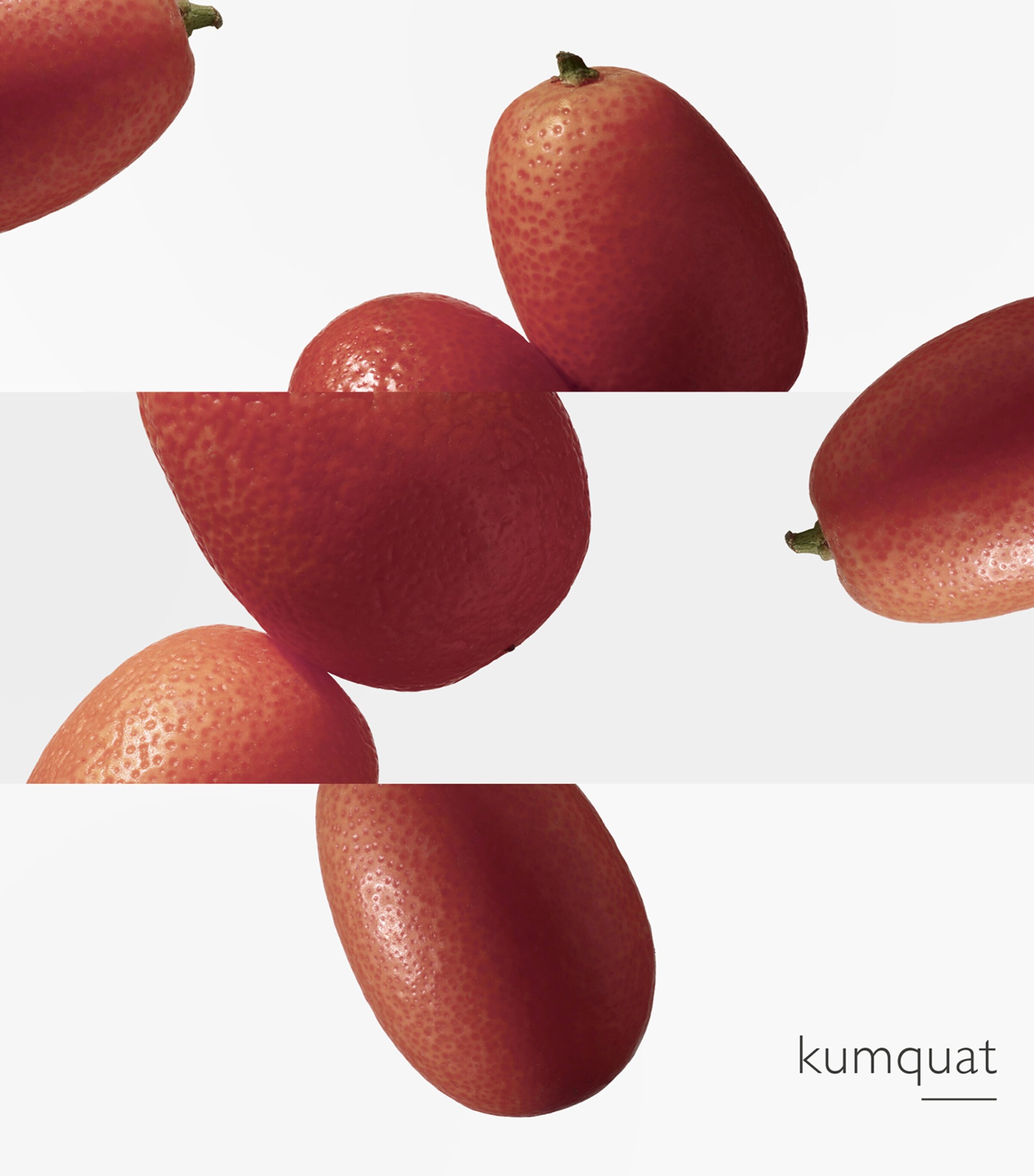 Le Jardin de Monsieur Li Eau de Toilette (100ml) NO COLOUR Image 4