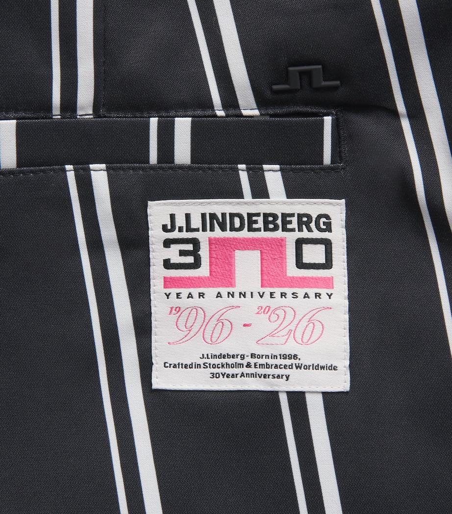 J Lindeberg Mens 30Y Devyn Stripe Golf Trousers Stripe Image 6