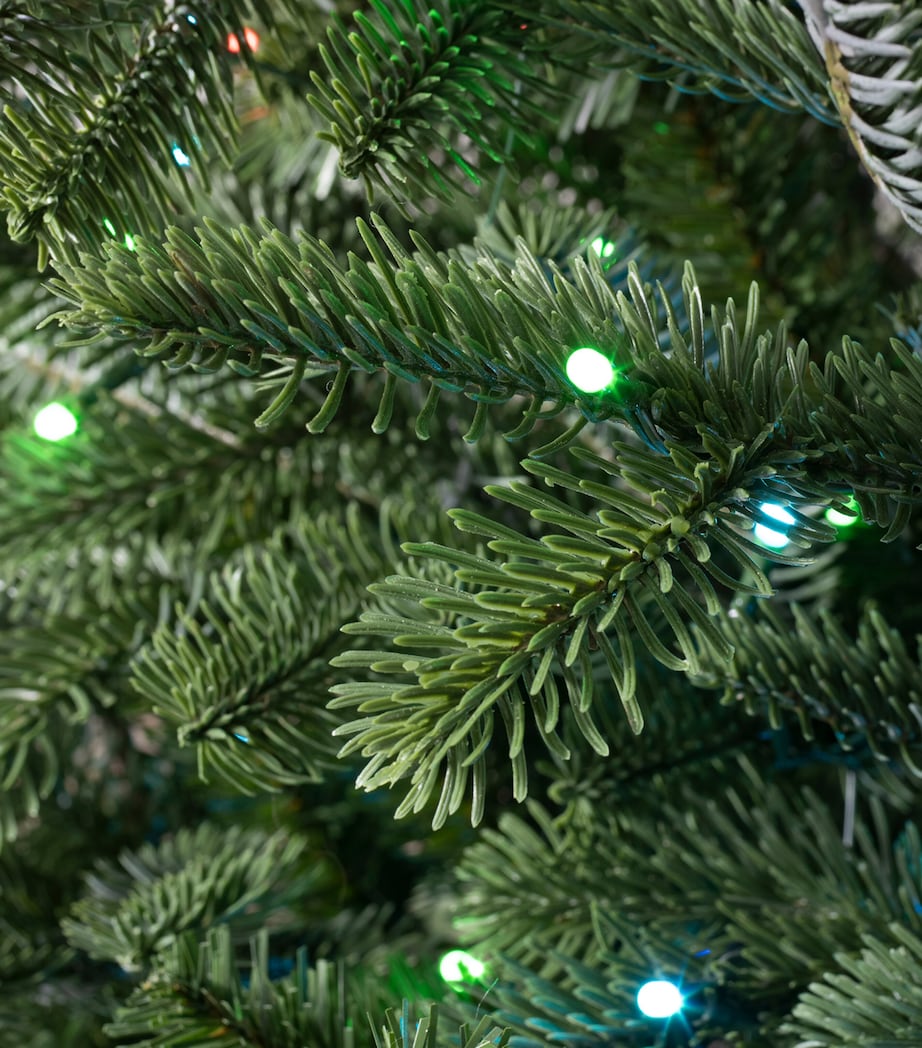BALSAM HILL Nordmann Fir LED Flip Christmas Tree (8ft) Green Image 3