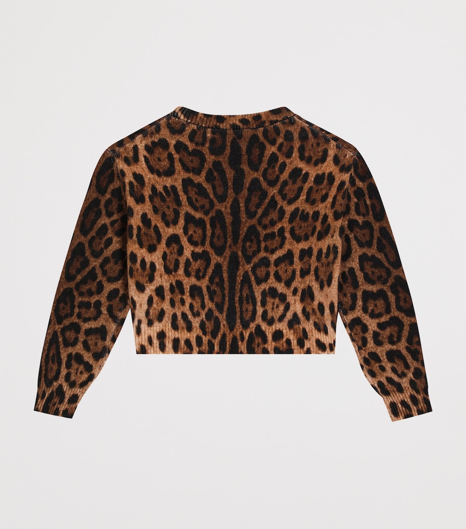 Virgin Wool Leopard Print Sweater (8-12 Years) HY13M-LEO NEW Image 2