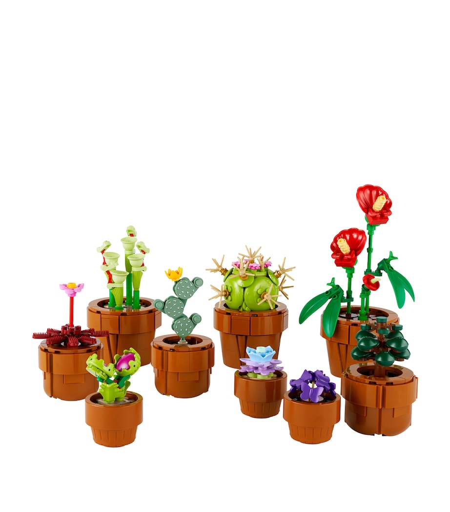 Lego Icons Tiny Plants Collection 10329 Image 5