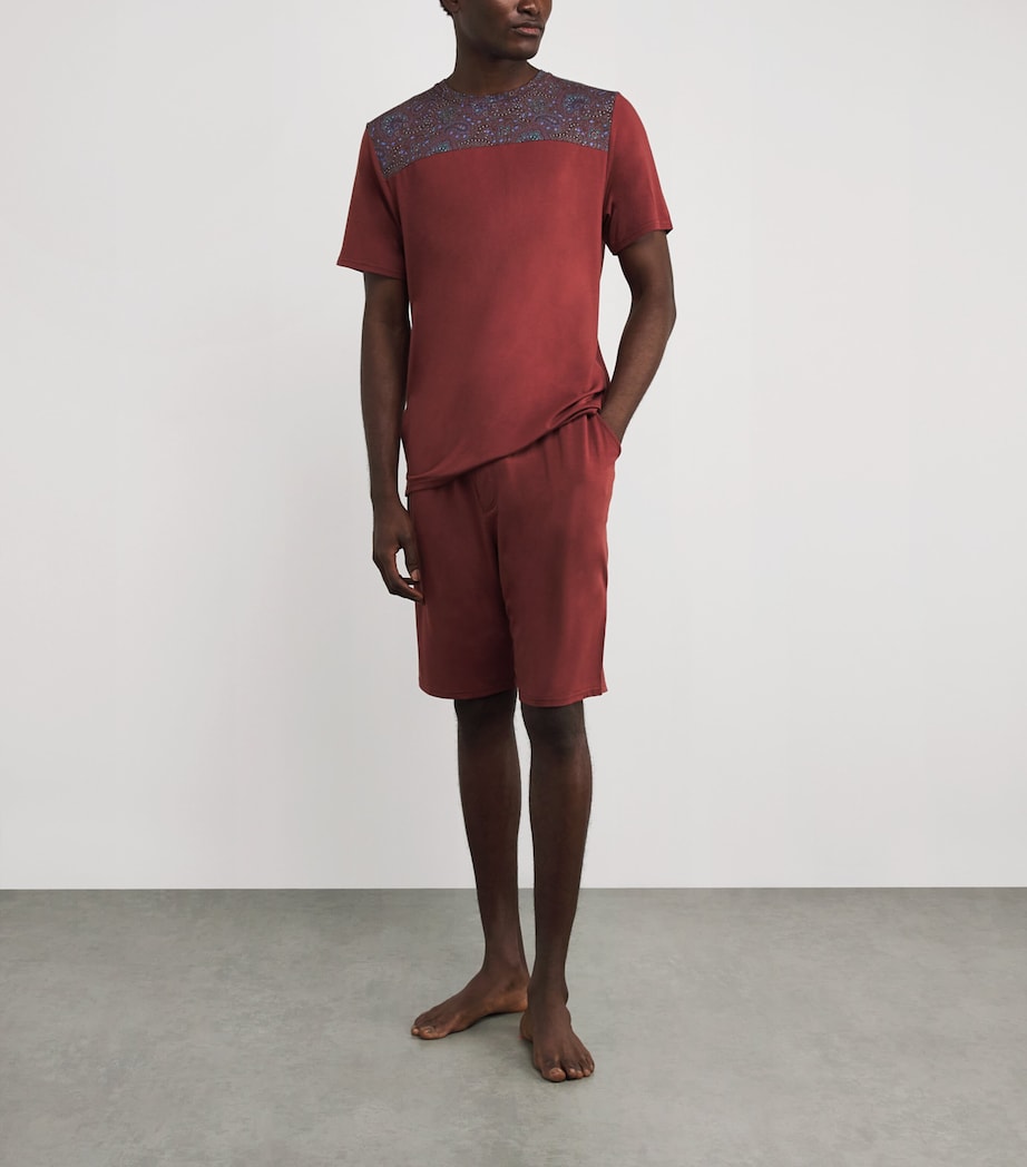 Paisley Trim Aristo Shorts CLAA-CLAY/ART STW RD Image 2