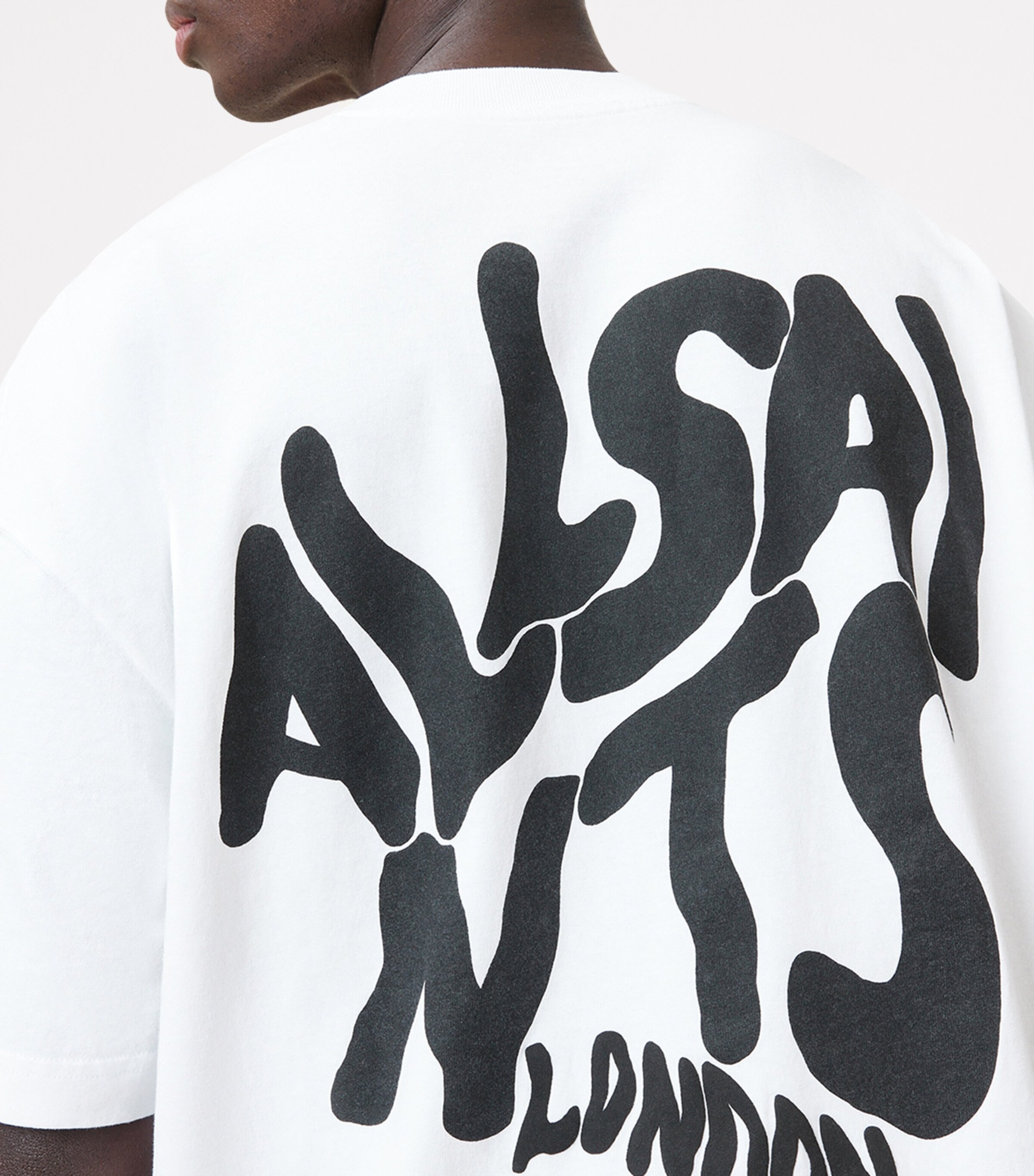 Organic Cotton Orlando T-Shirt ASHEN WHITE Image 7