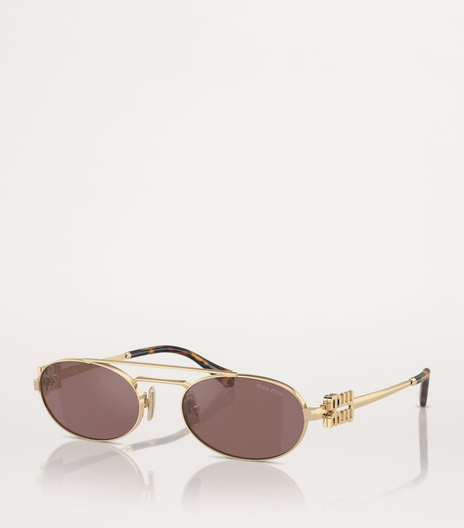 Metal Oval Sunglasses ZVN70D Image 2