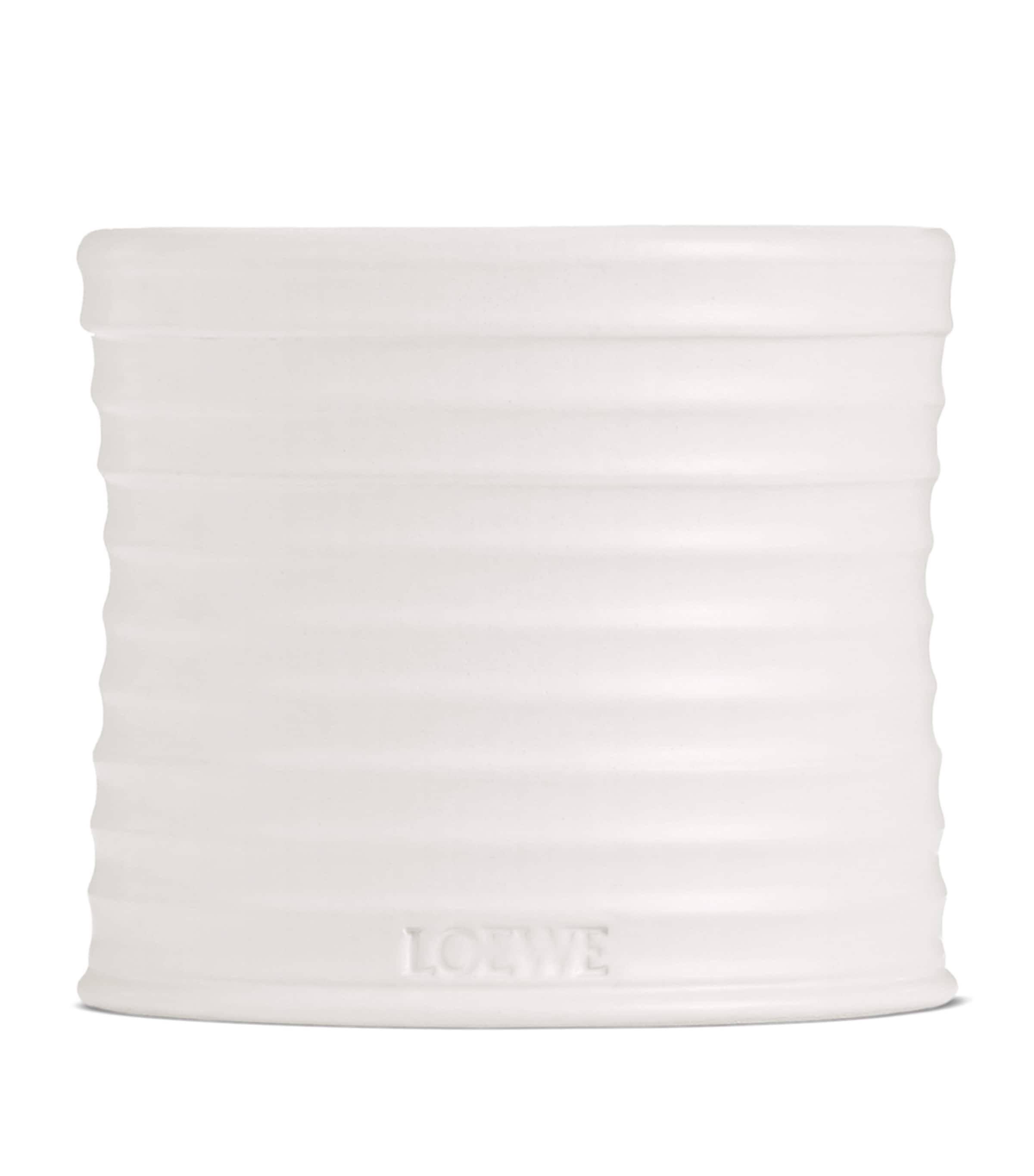 Loewe Medium Oregano Candle