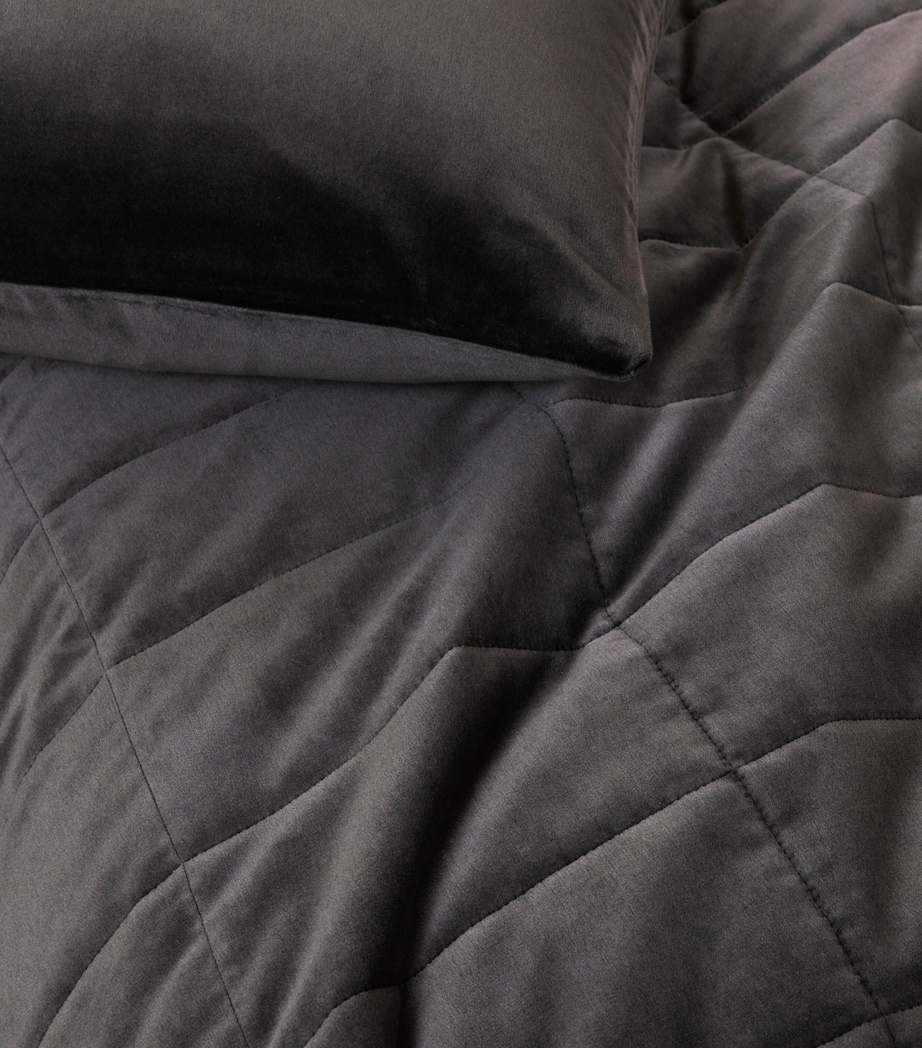 Luxury Velvet Cushion Cover (50cm x 50cm) 0209 - MAHOGANY GREY Image 4