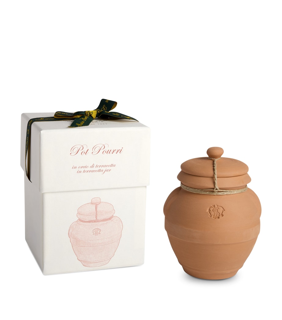 Pot Pourri Terracotta Jar (70g) NO COLOUR Image 2