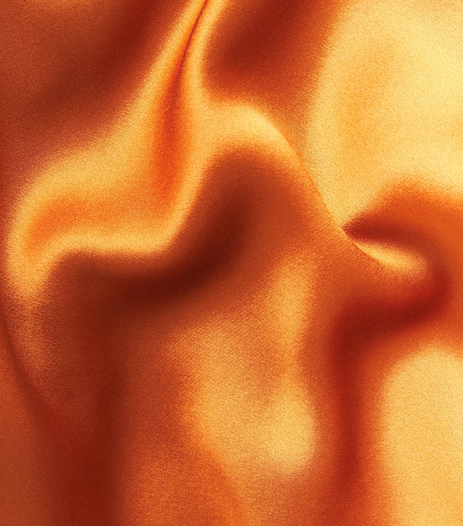 Silk Lysa Gown CINNAMON Image 5