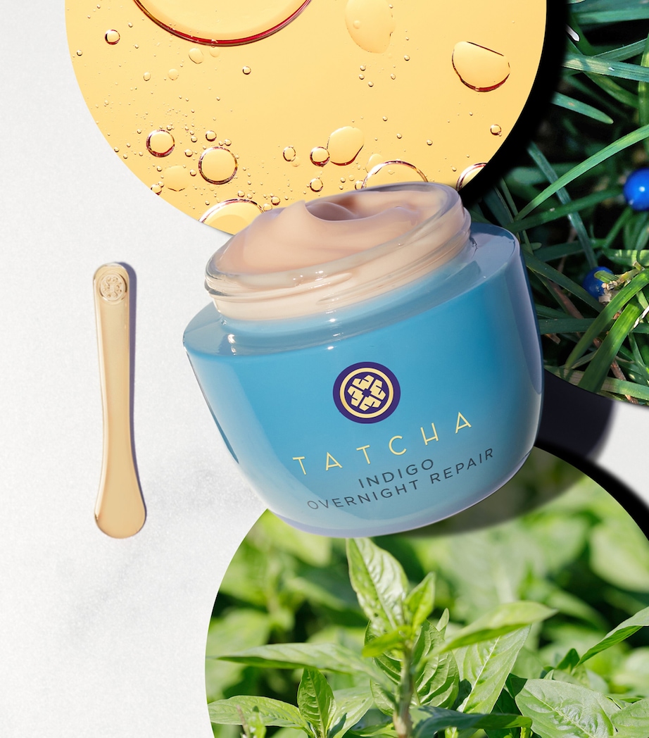 The Indigo Overnight Repair (50ml) NO COLOUR Image 2