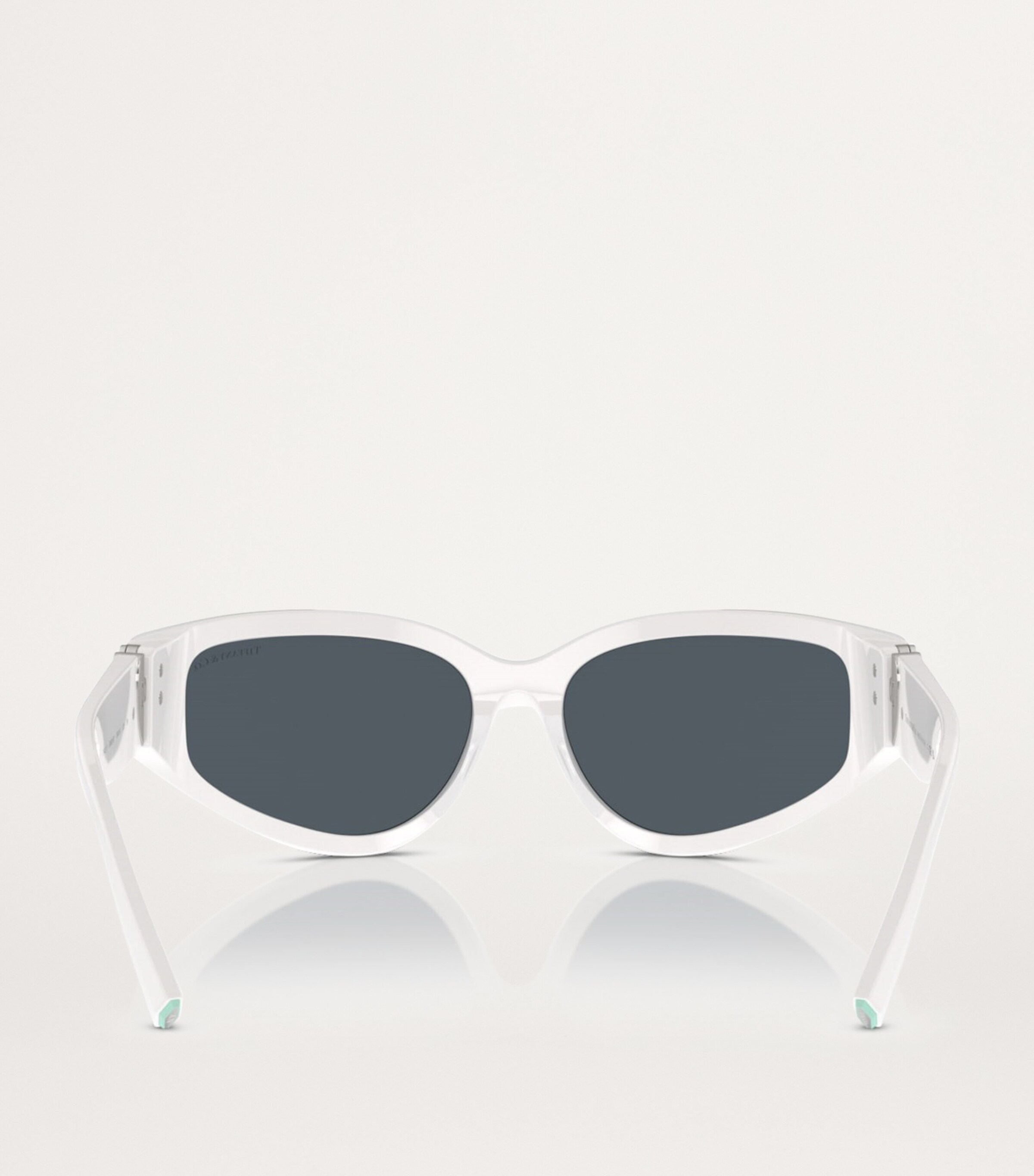 Acetate Oval Sunglasses 839287 Image 4