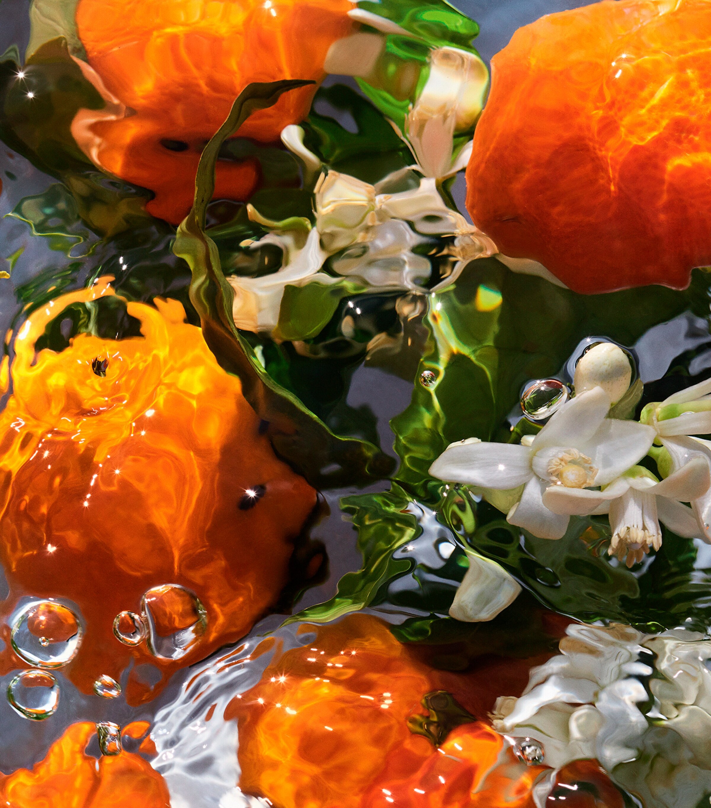 Aqua Allegoria Mandarine Basilic Eau de Toilette (125ml) NO COLOUR Image 2