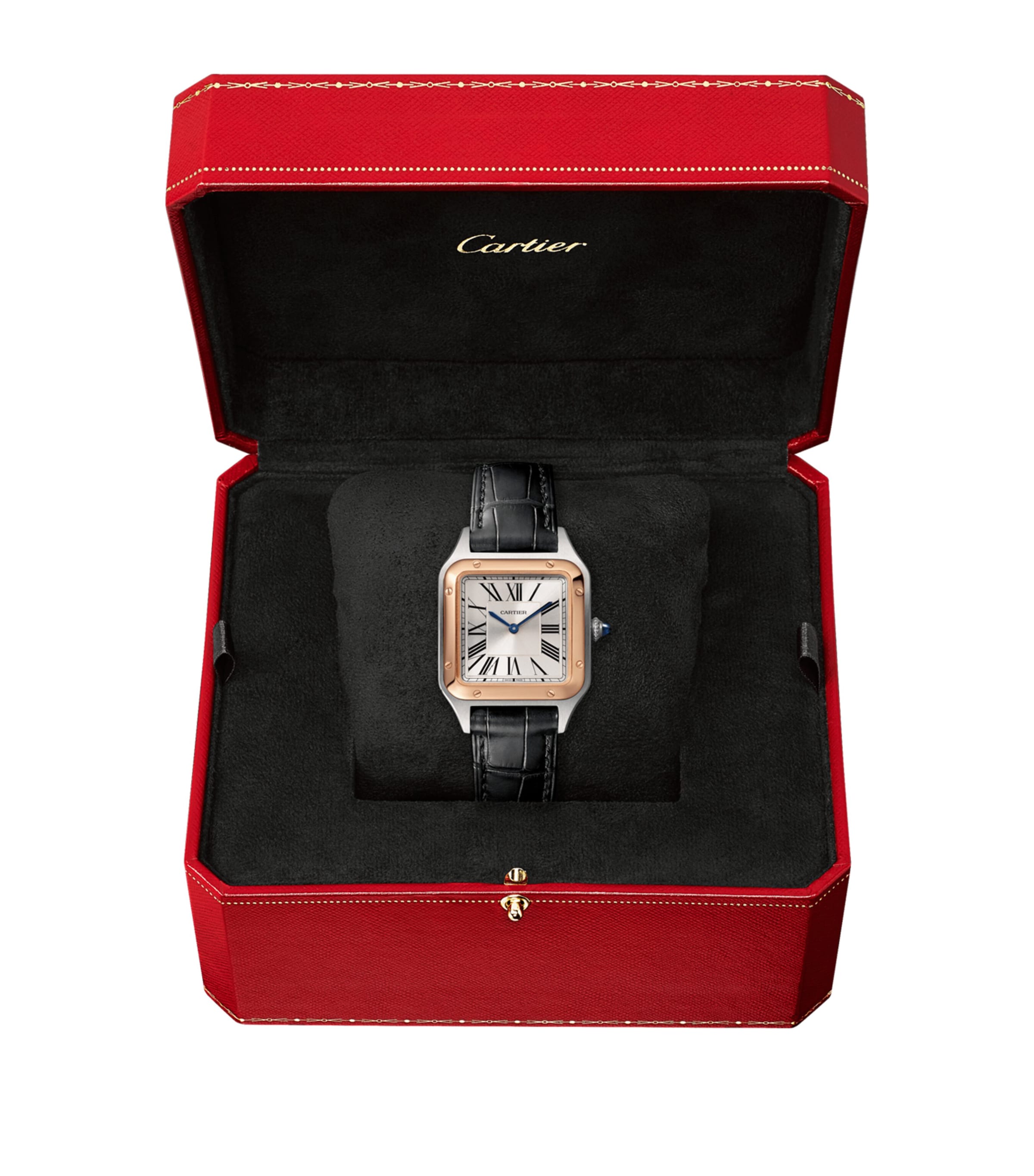 Rose Gold and Stainless Steel Santos de Cartier Watch 27.5mm SILVER Image 10