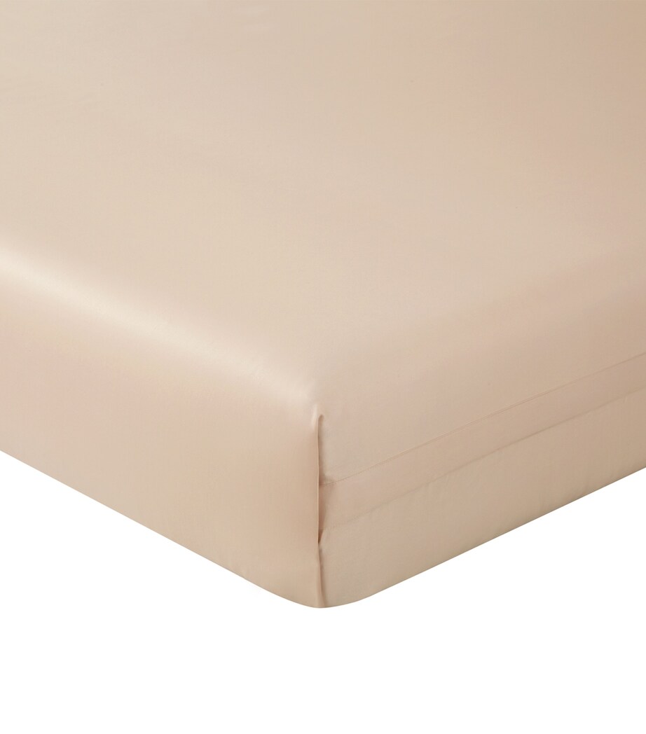 Adagio Double Bottom Flat Sheet (240cm x 320cm) LIN Image 2
