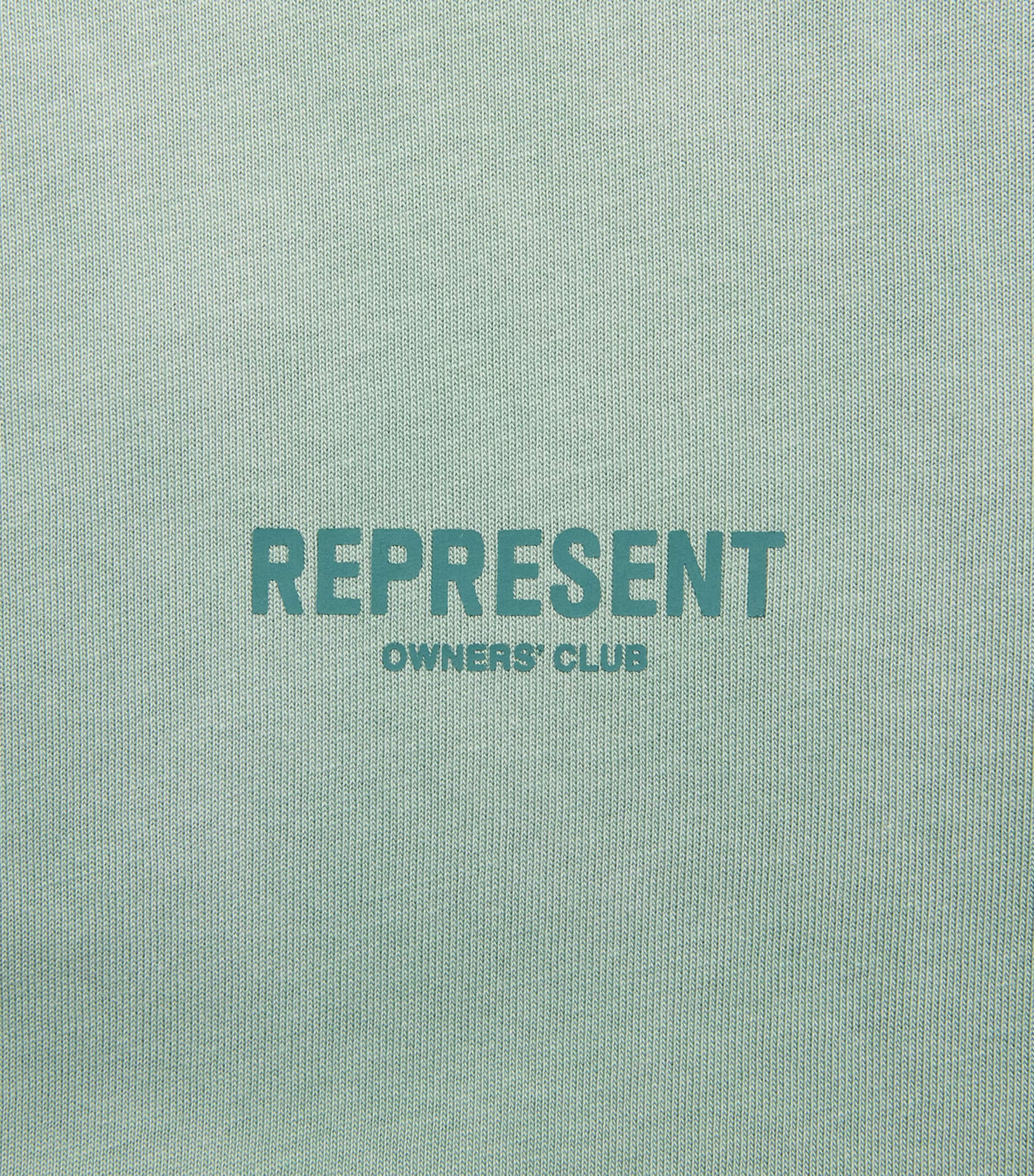 Represent Mens Cotton Owners Club T-Shirt Washed Aloe Image 6