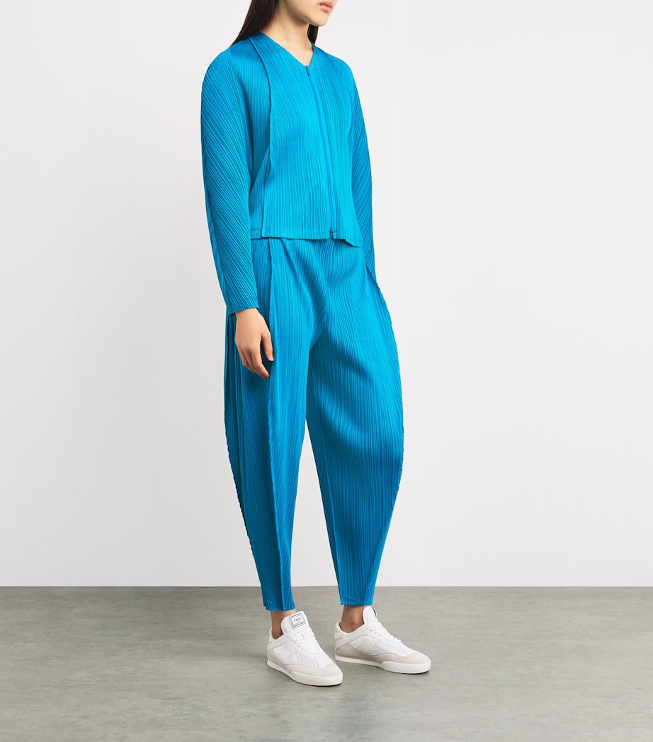 Lantern Jacket 71 Image 2