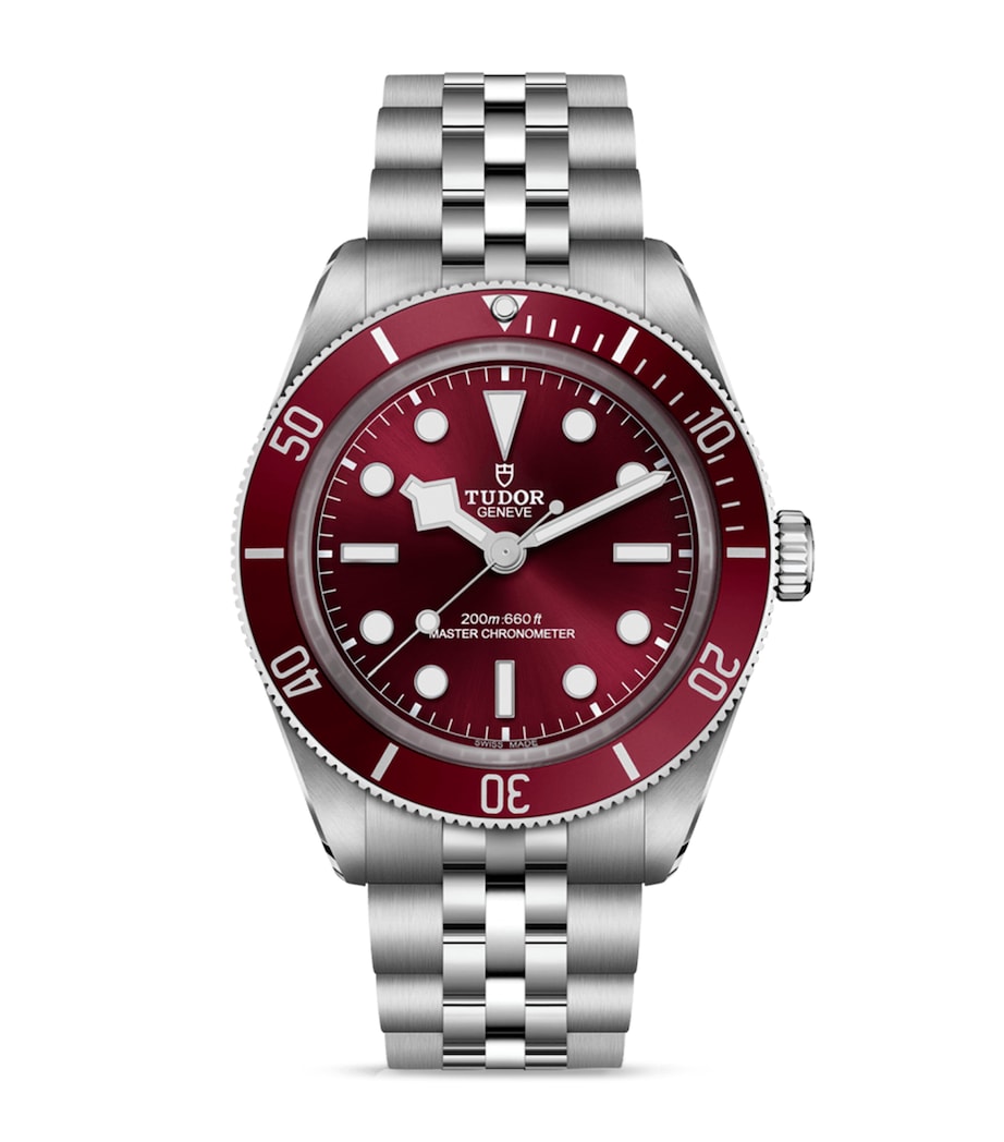 Black Bay 58 Stainless Steel Watch 39mm RED Image 1