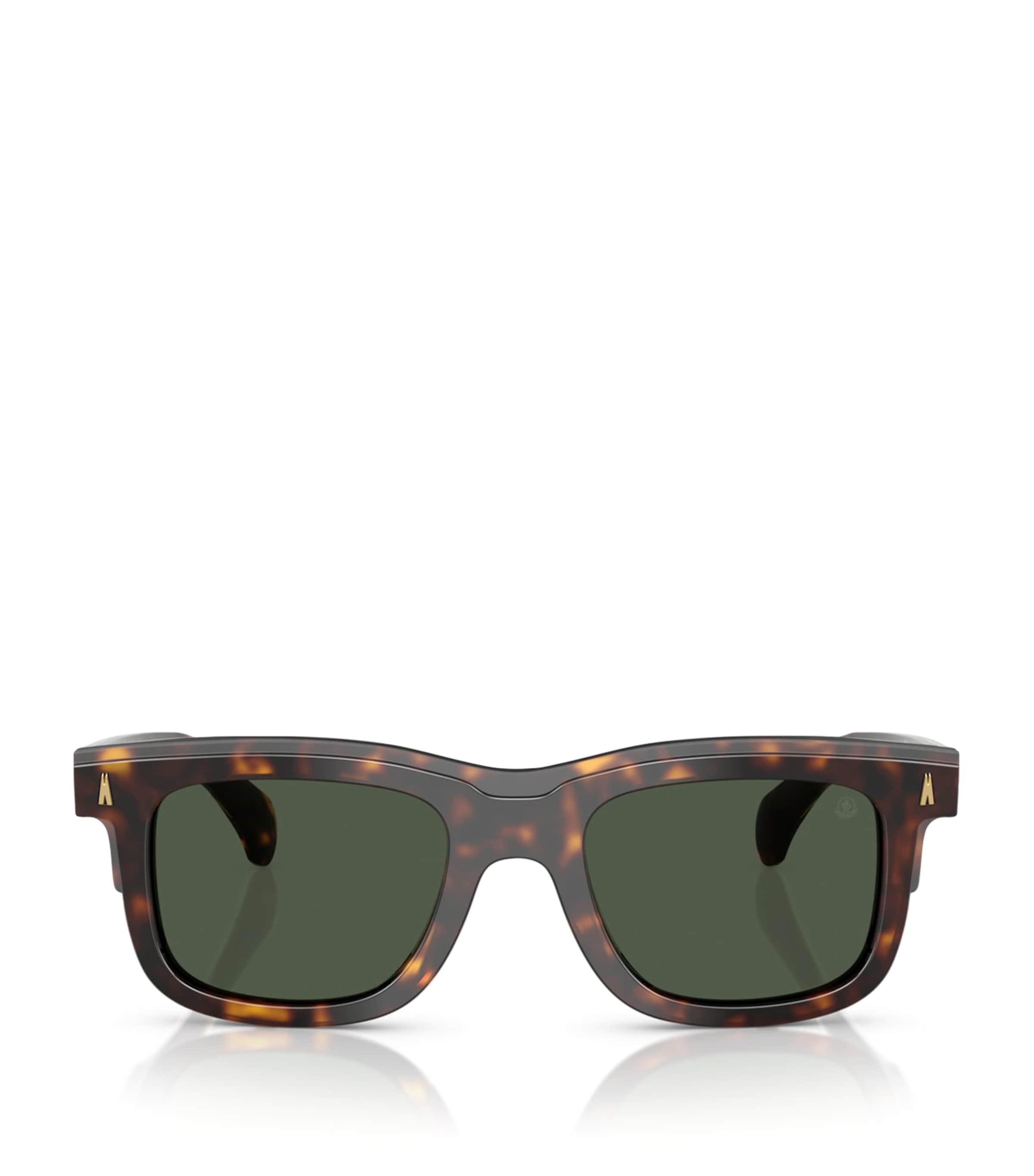 Moncler Acetate Claro Me6004 Sunglasses In Brown
