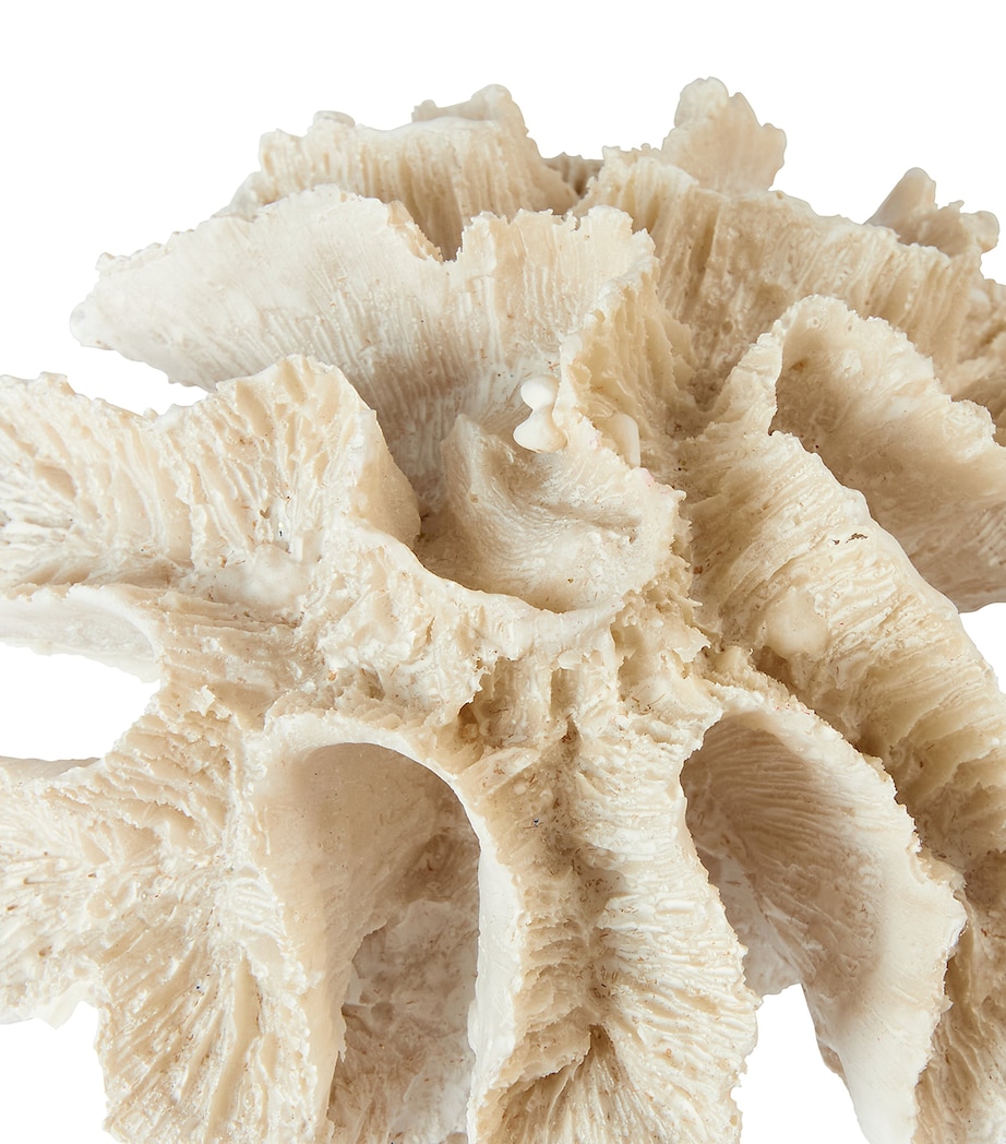 Resin Coral Ornament MULTI Image 2