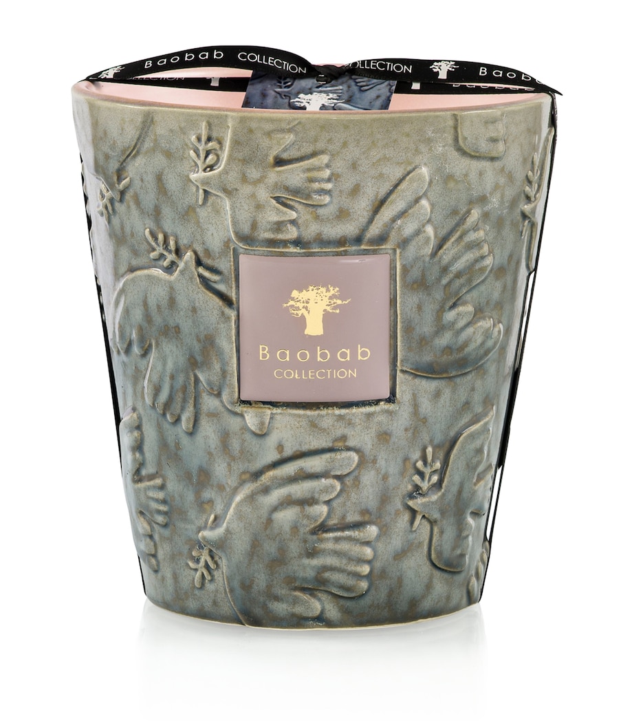 Baobab Collection Colombe Scented Candle (3kg) Green Image 1